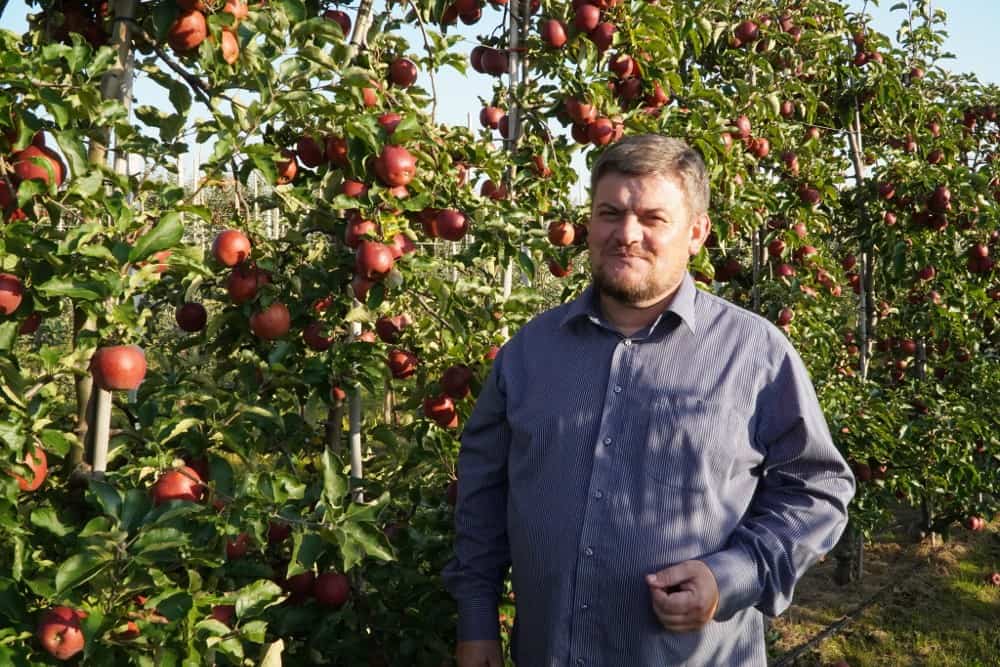 #17 Komunikat sadowniczy Zbigniew Marek, 22.09.2020