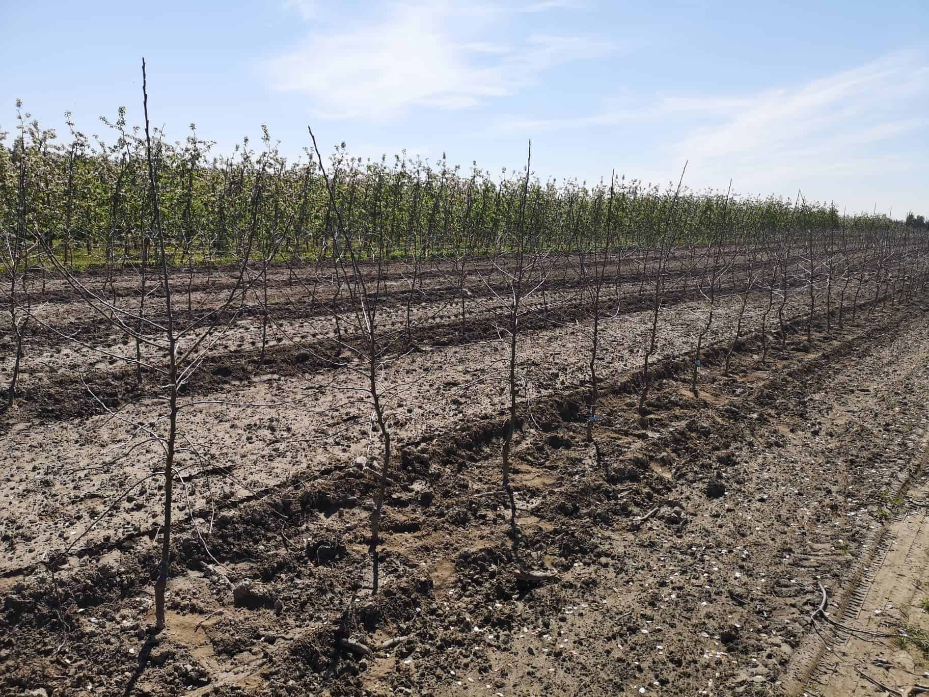 Kredyt na zakup użytków rolnych