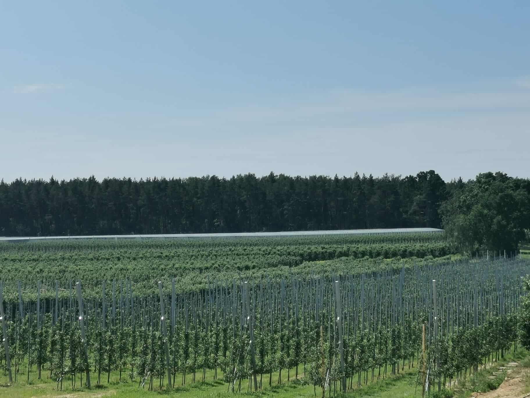 Jakie płatności w nowej WPR?