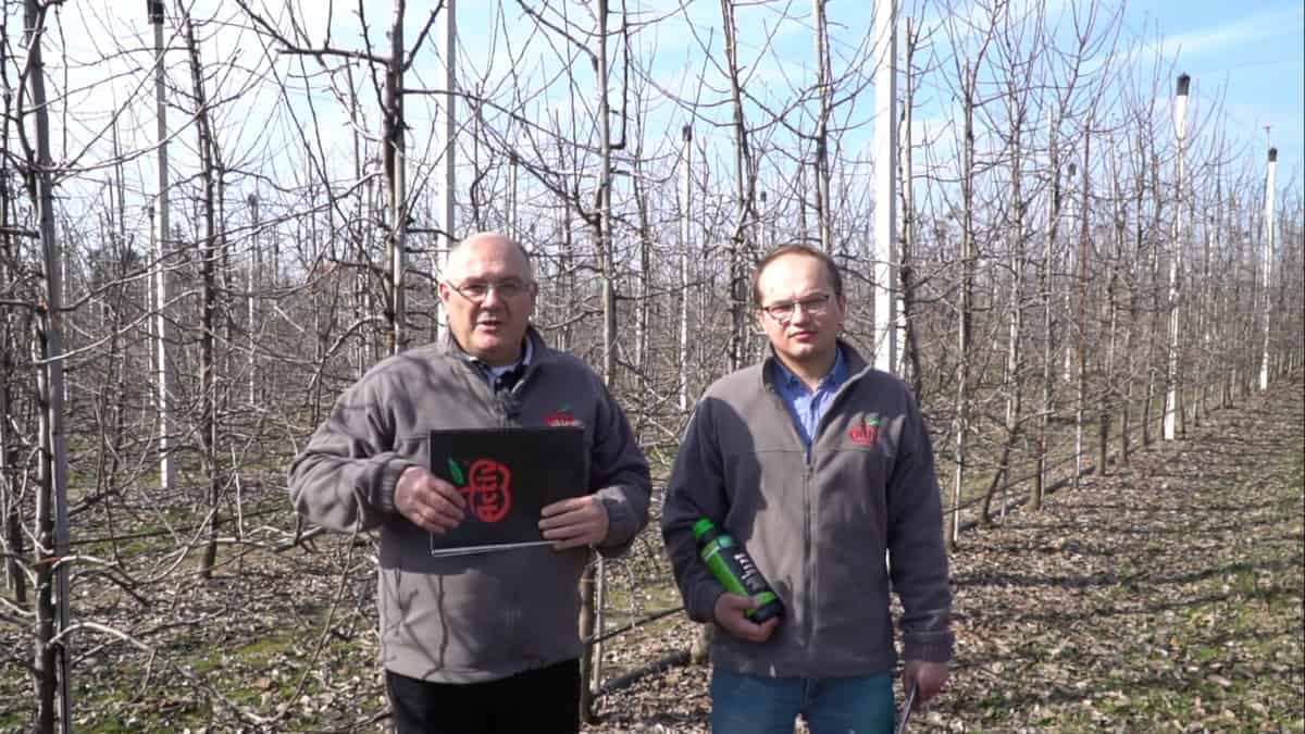 Masz wybór odc. 2 Jak wzmocnić pąki kwiatowe 