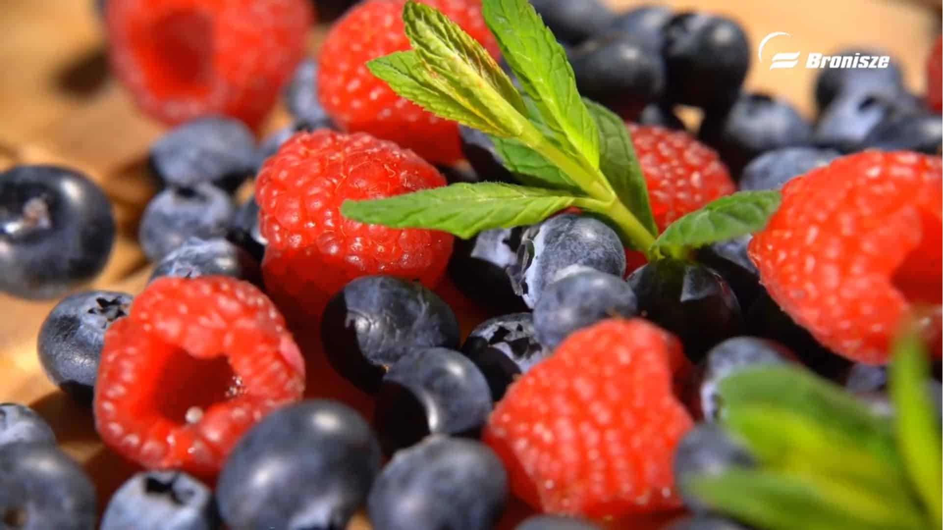 Prosto z pola na stół - Borówka amerykańska i Malina