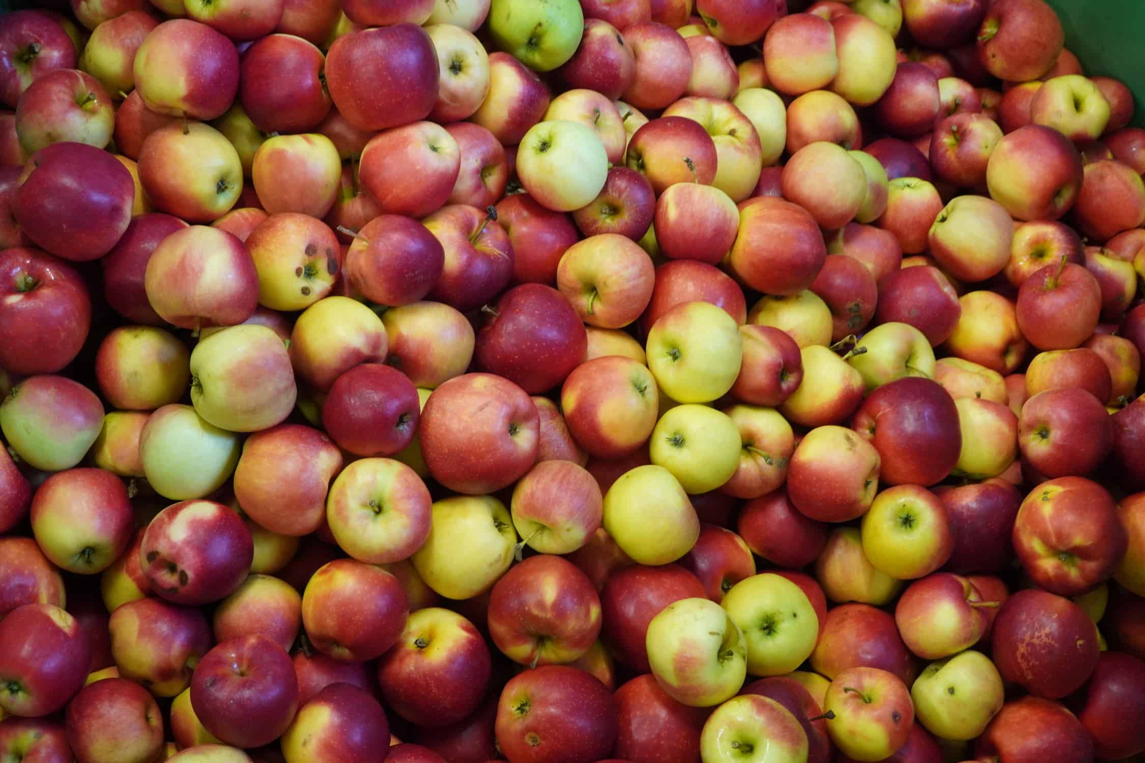 Jak kształtują się ceny jabłek przemysłowych?