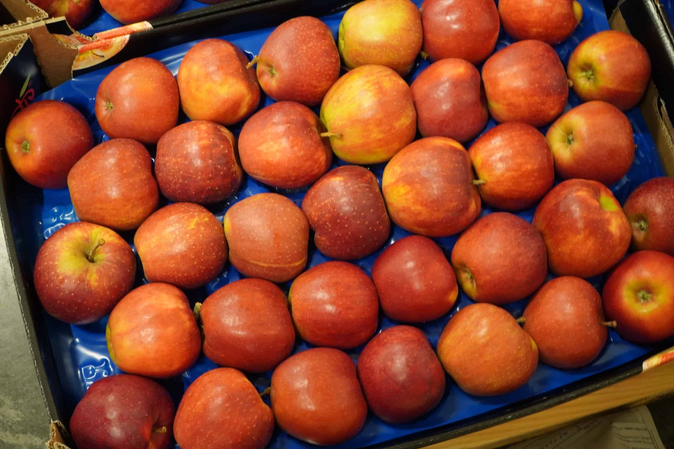 Aktualne ceny jabłek deserowych w grupach producenckich [21.12.2020]