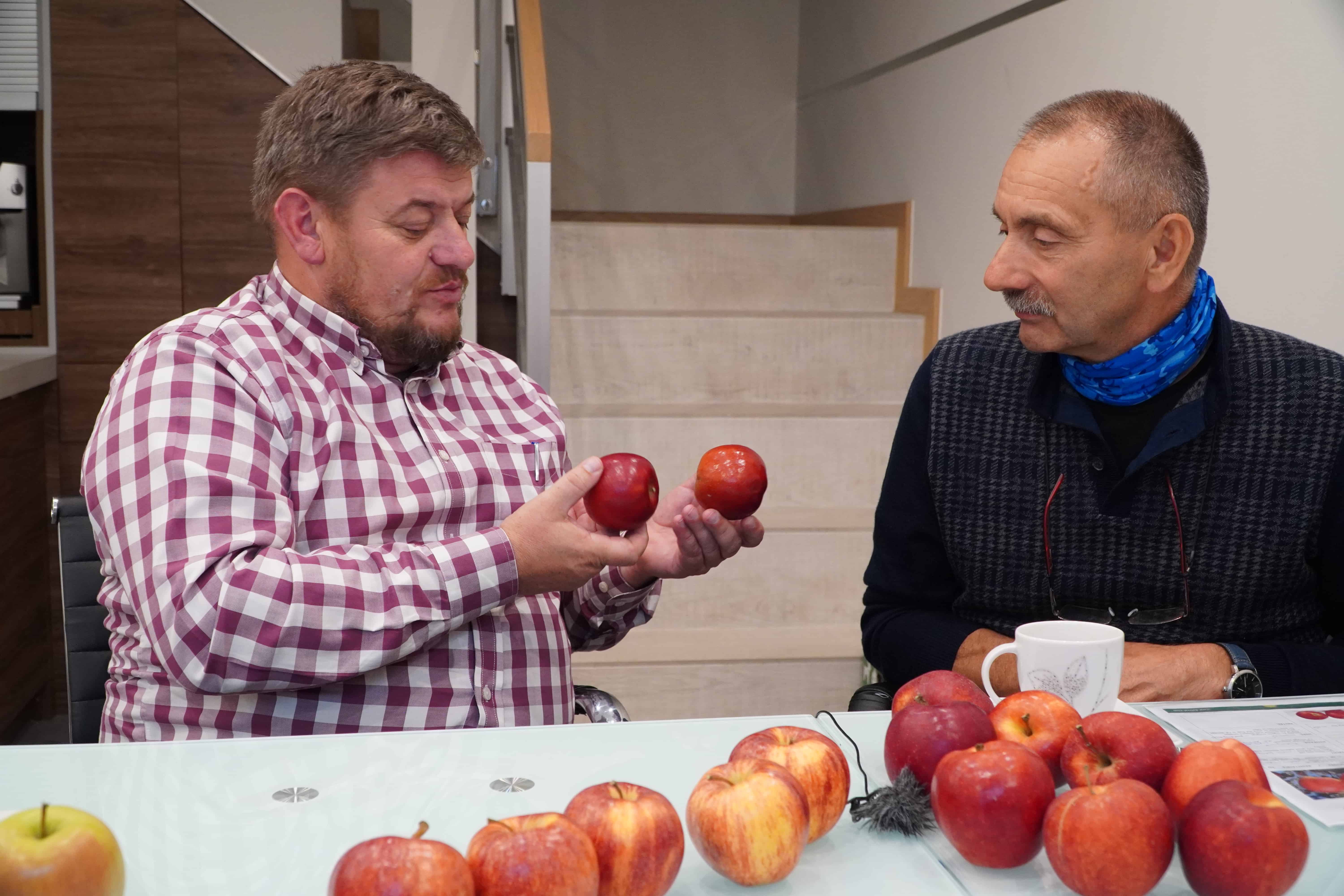 Na jakie odmiany jabłoni stawiają sadownicy? Marek Bielak i Zbigniew Marek