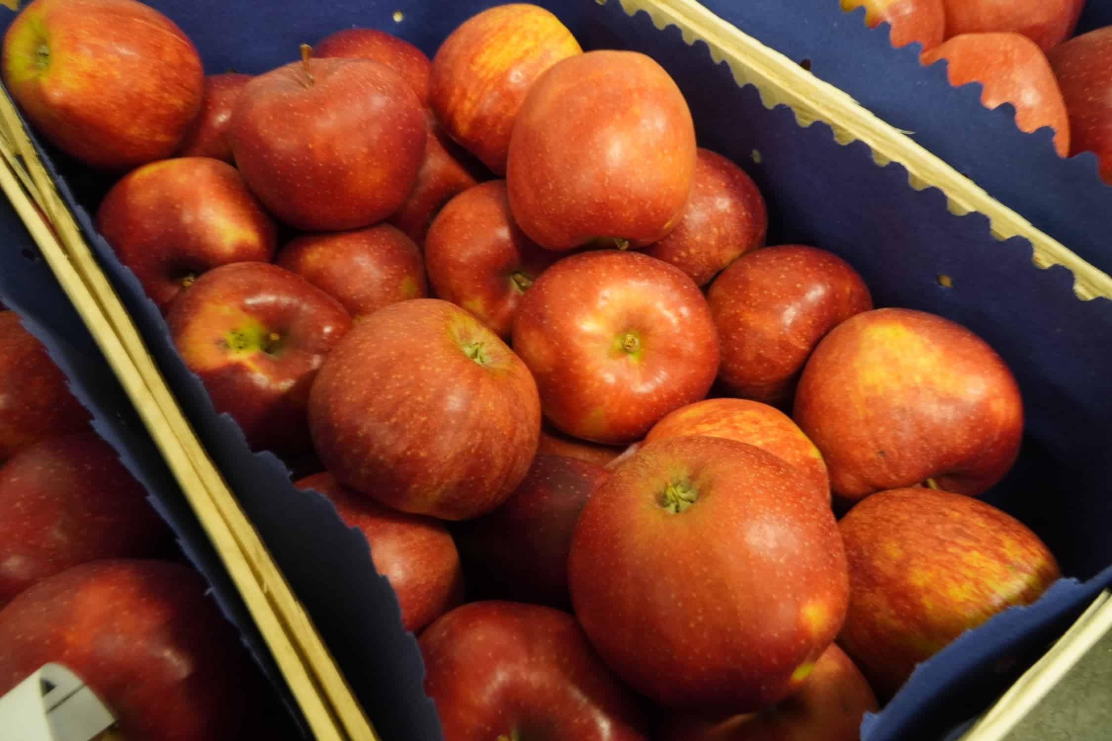 Gruzja zwiększa eksport jabłek 