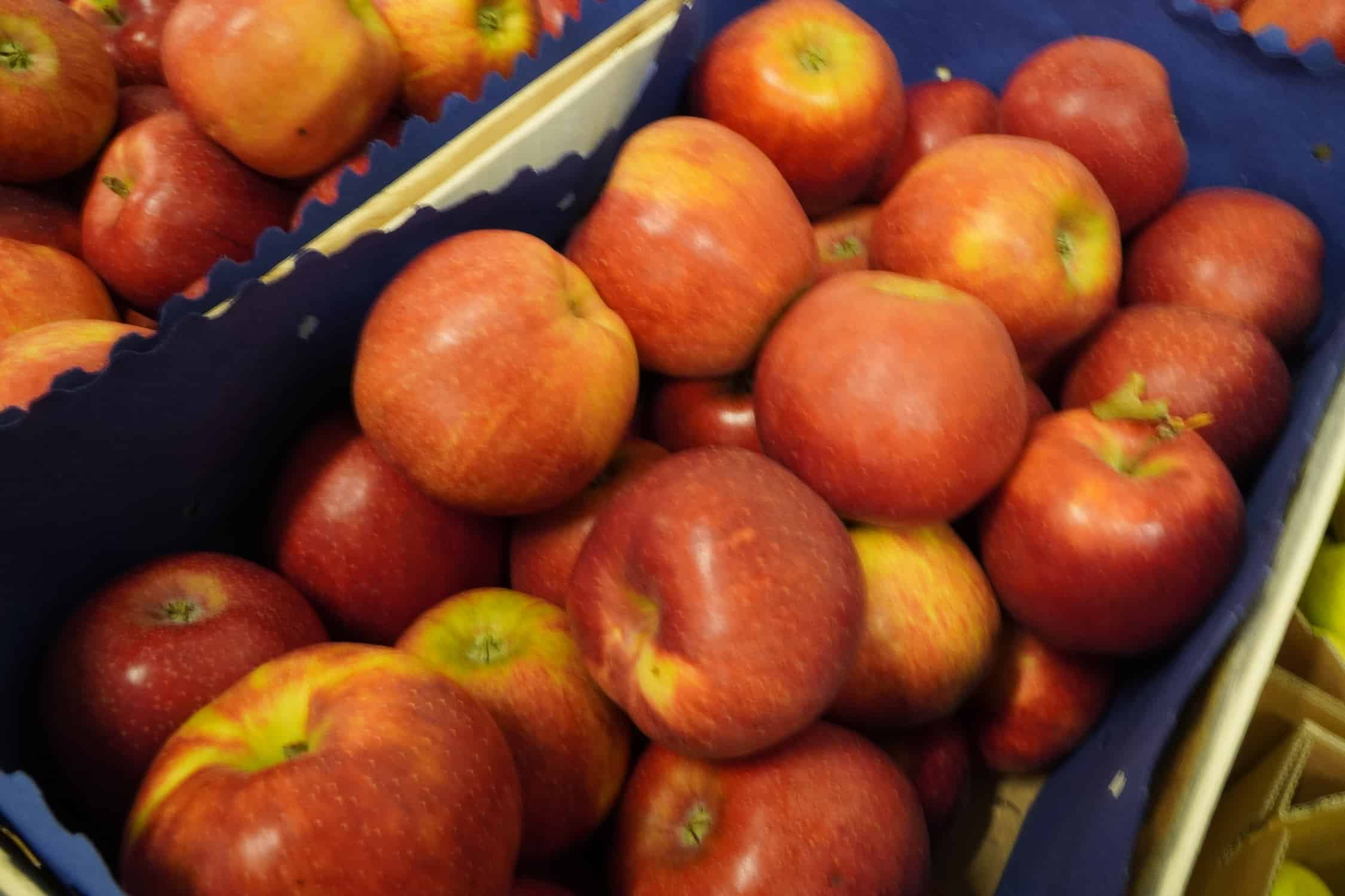 Nieuczciwe praktyki handlowe w łańcuchu dostaw żywności – ANKIETA