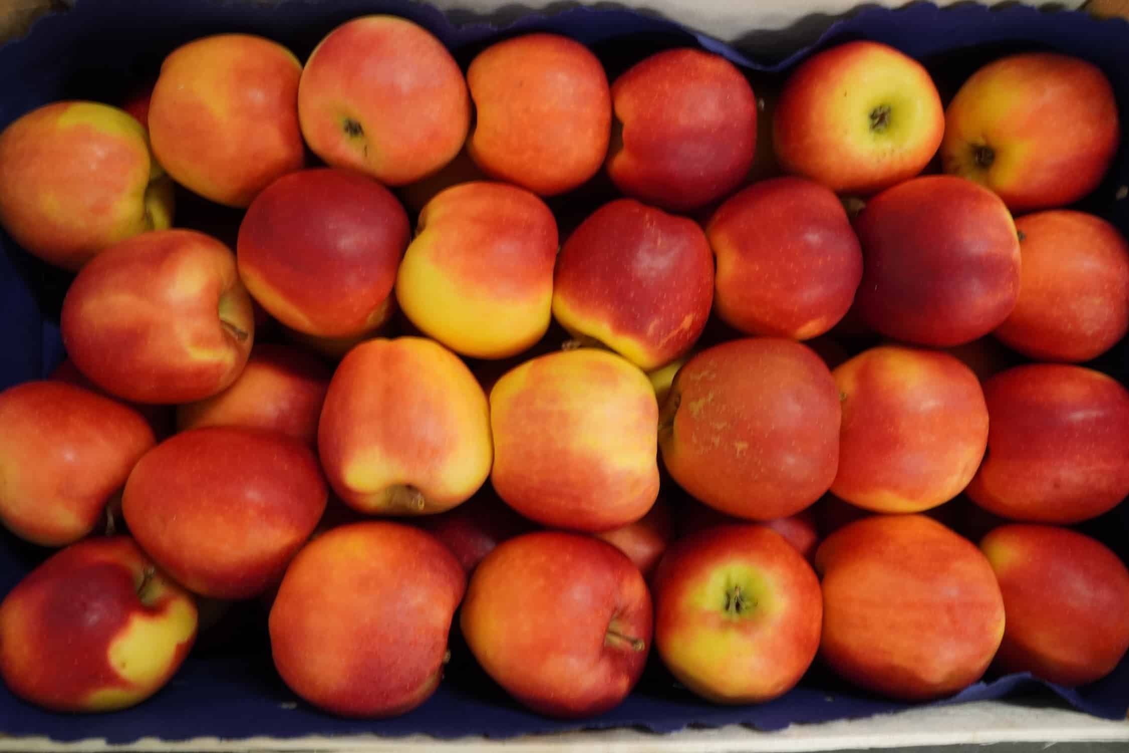 Aktualne ceny jabłek deserowych w grupach producenckich [14.12.2020]