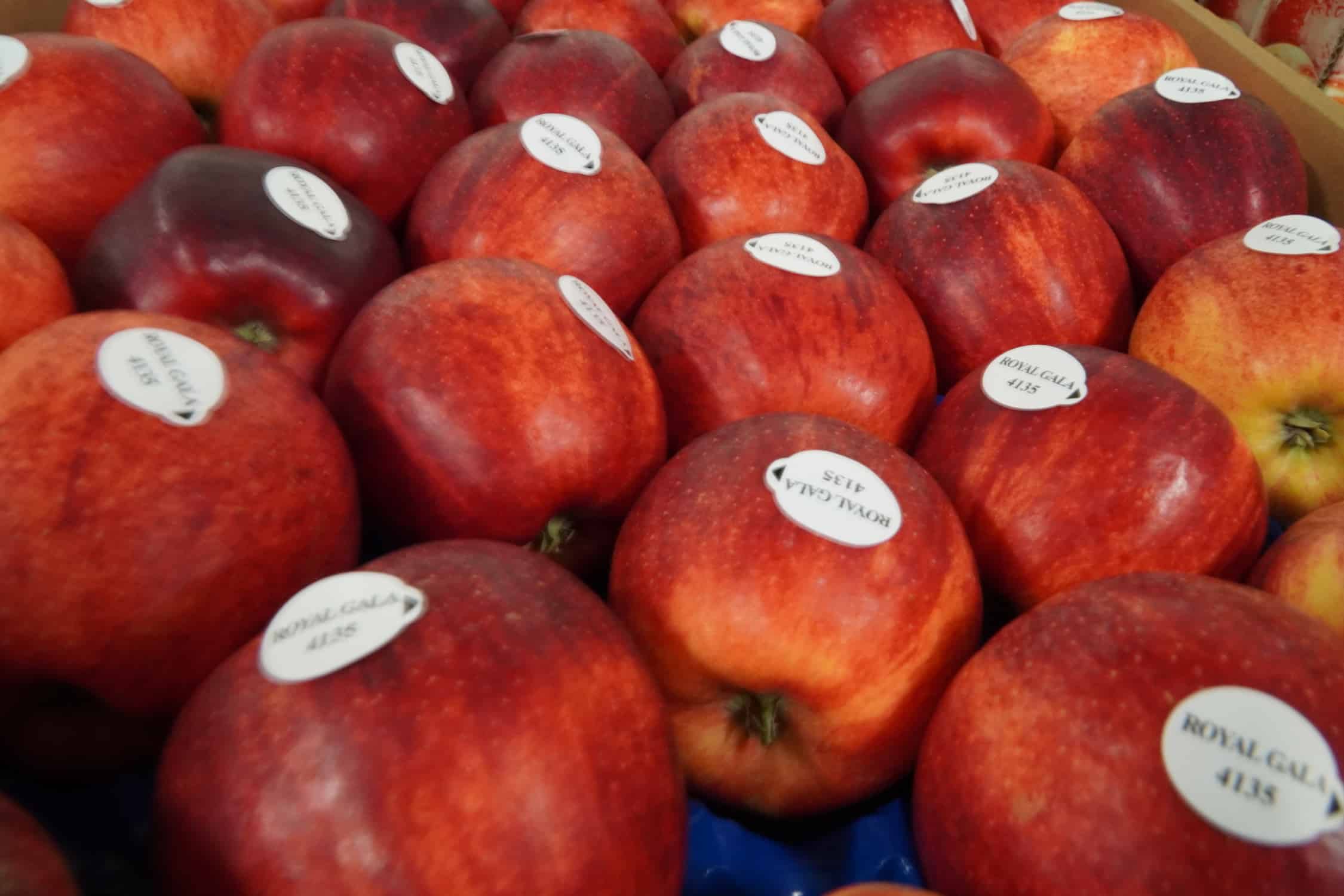 Aktualne ceny jabłek deserowych w grupach producenckich [07.12.2020]