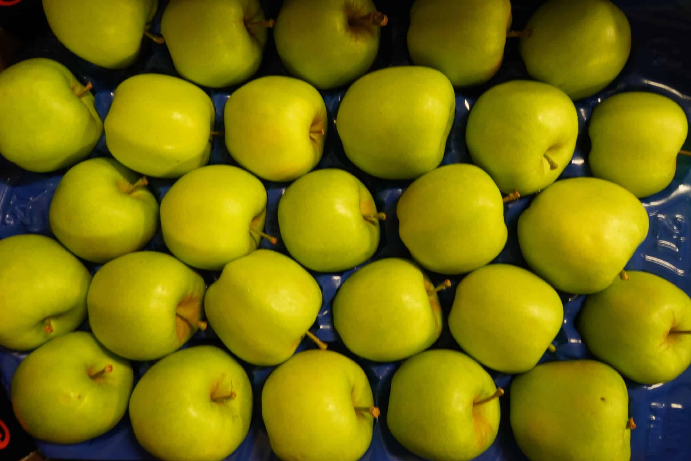 Silny popyt na polskie jabłka w Europie