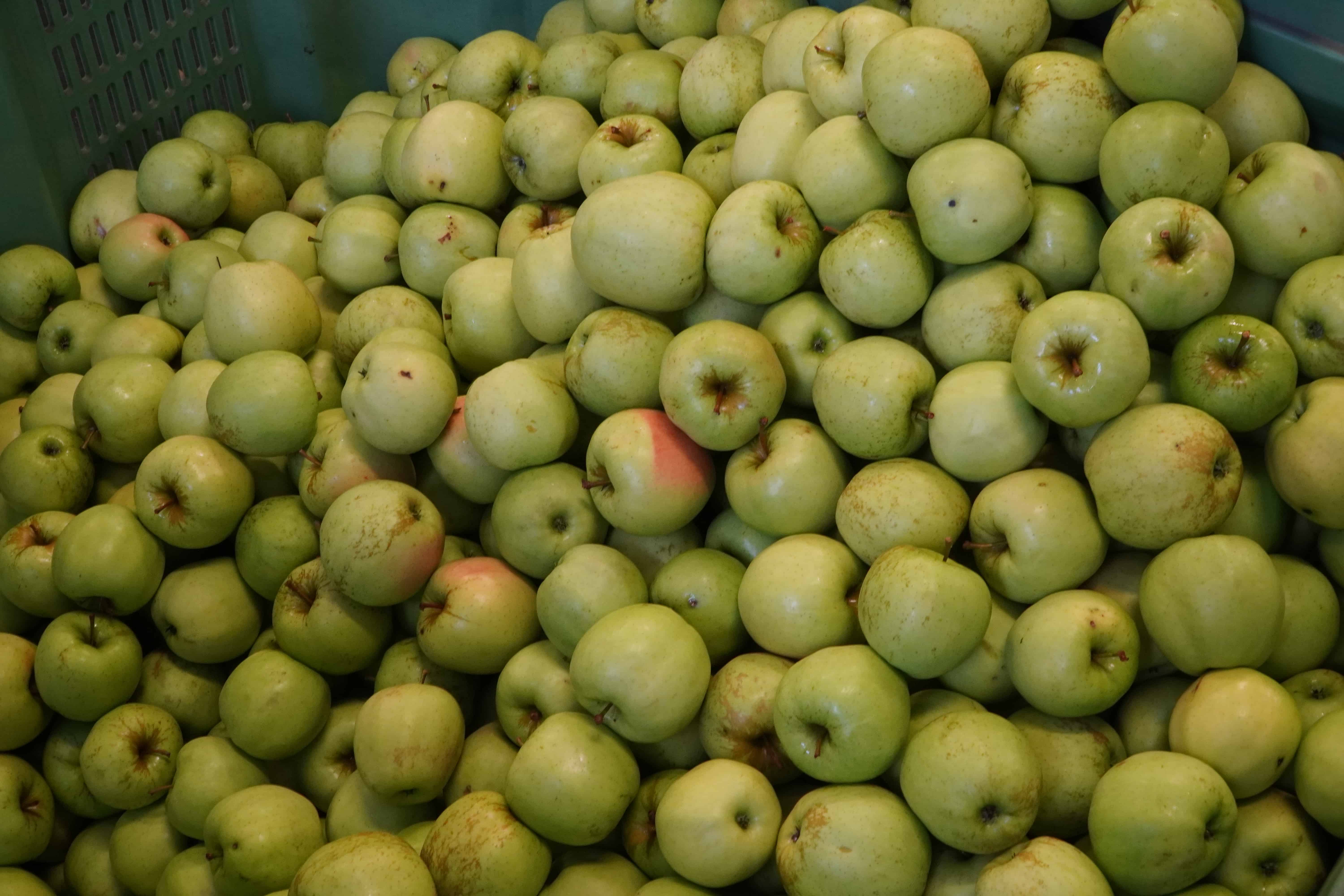 Deficyt jabłek na węgierskim rynku 