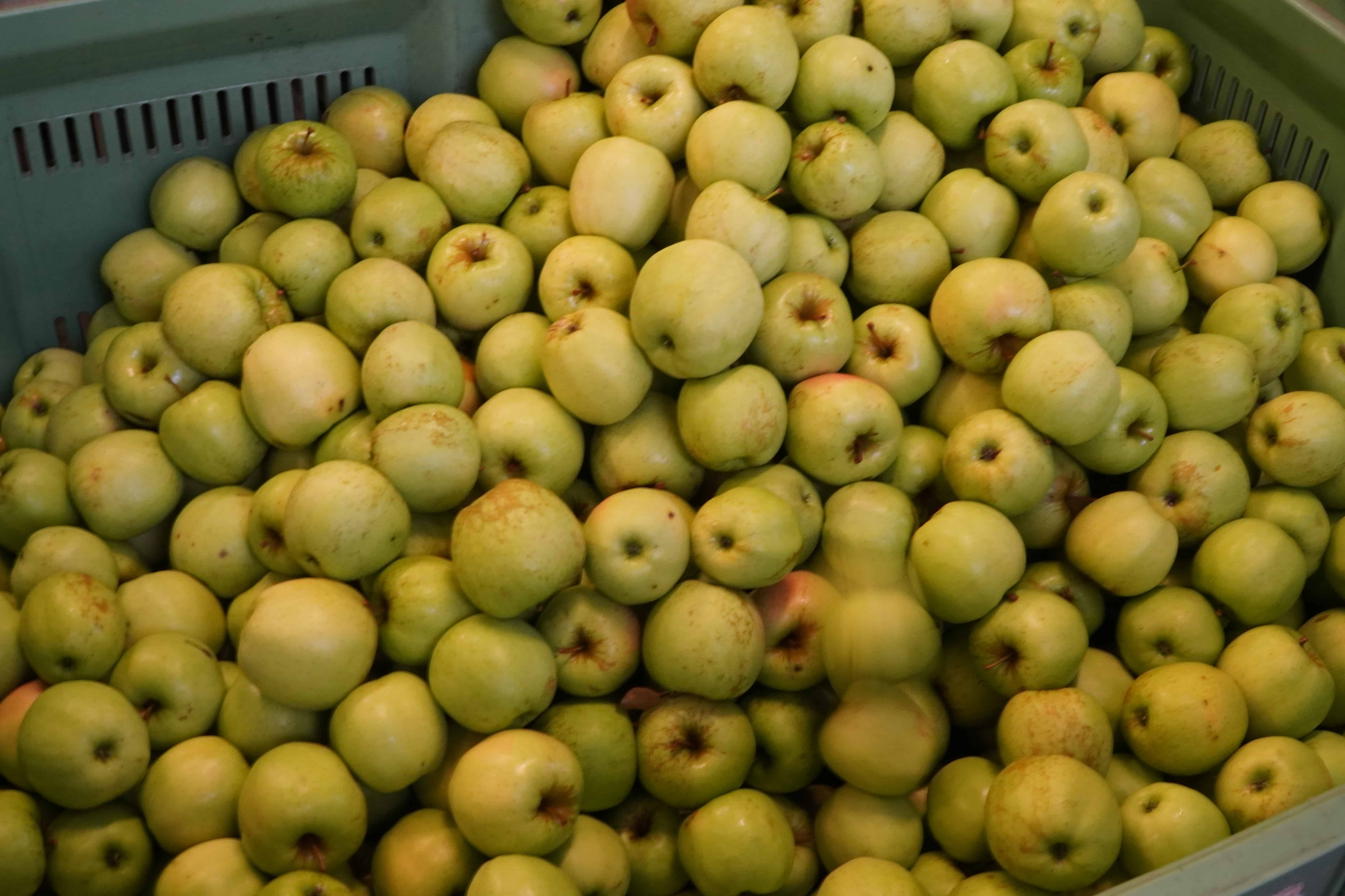 Przetwórnie będą walczyły o surowiec?