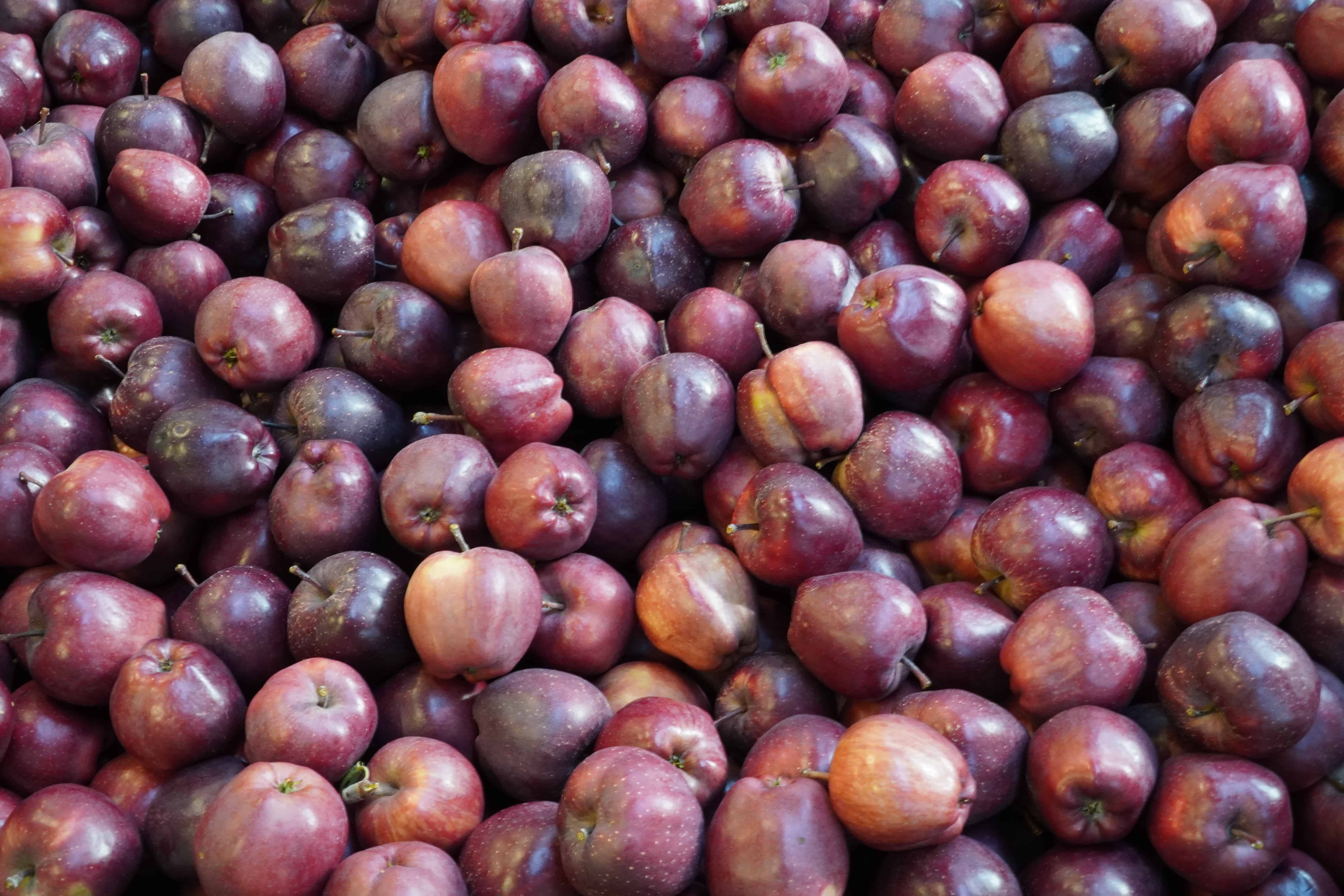 Mołdawia: Znaczy spadek przerobu jabłek