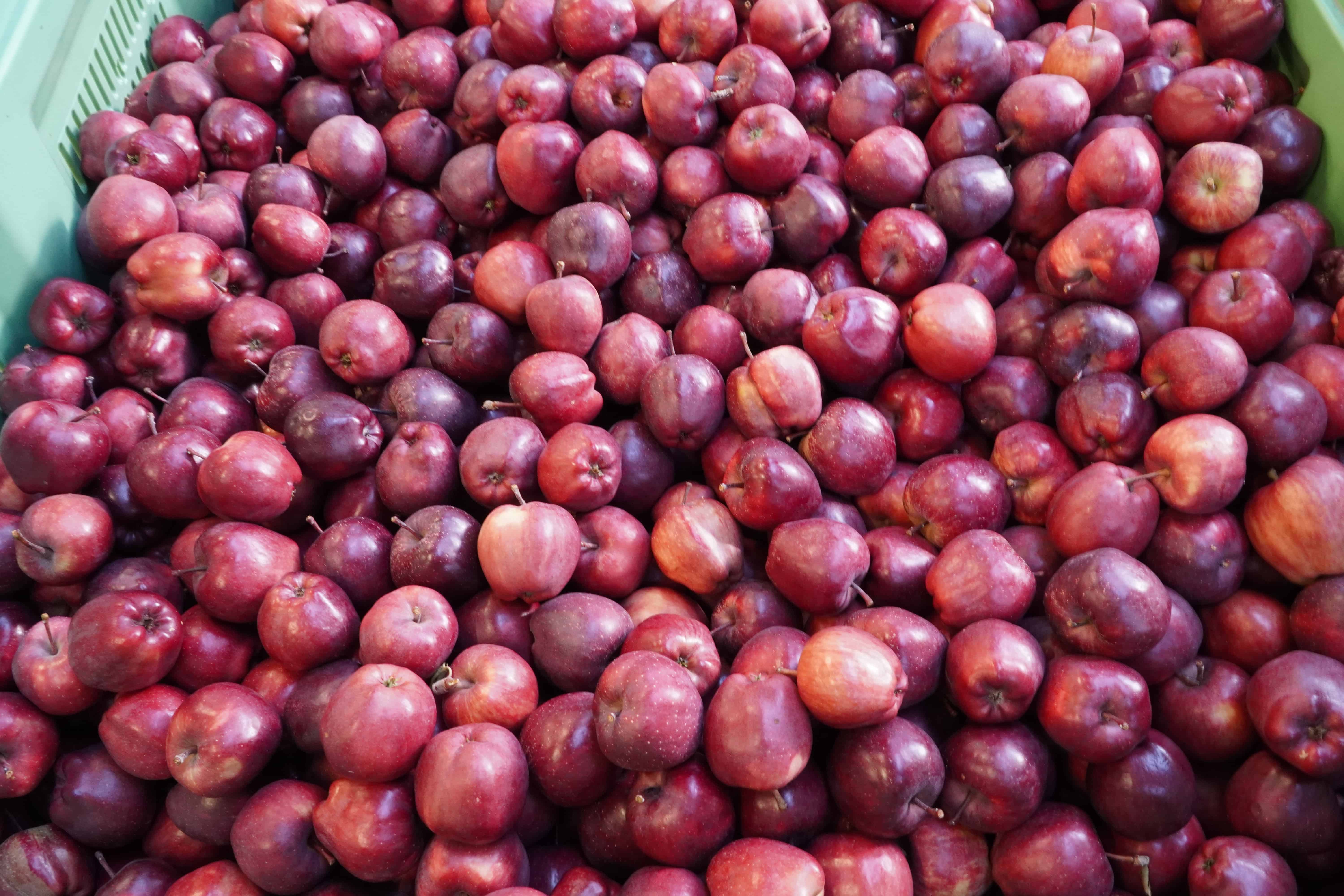 UOKiK: W przypadku cen skupu jabłek nie możemy mówić o zmowie cenowej 