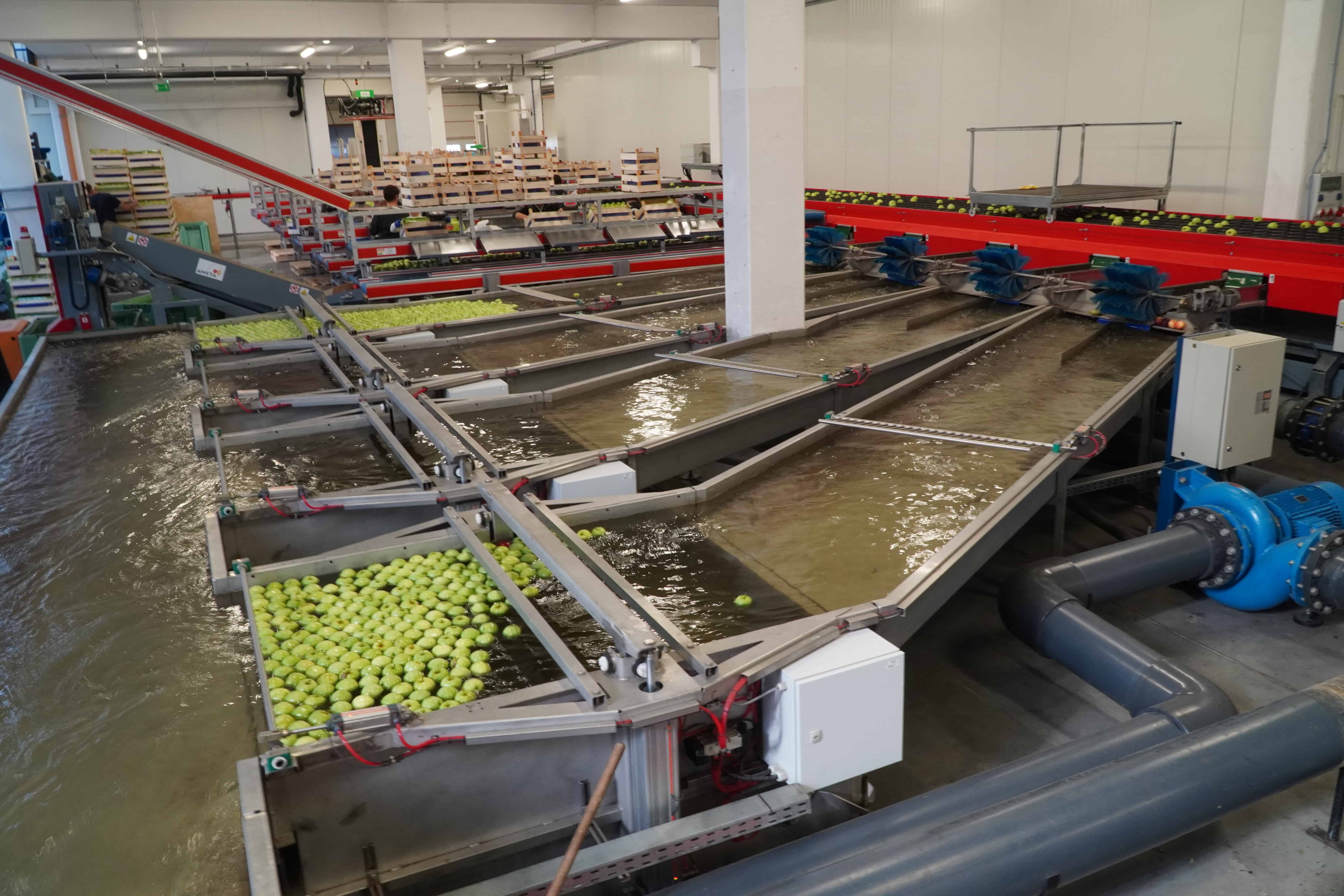 Nowo utworzone grupy producentów owoców bez dofinansowania