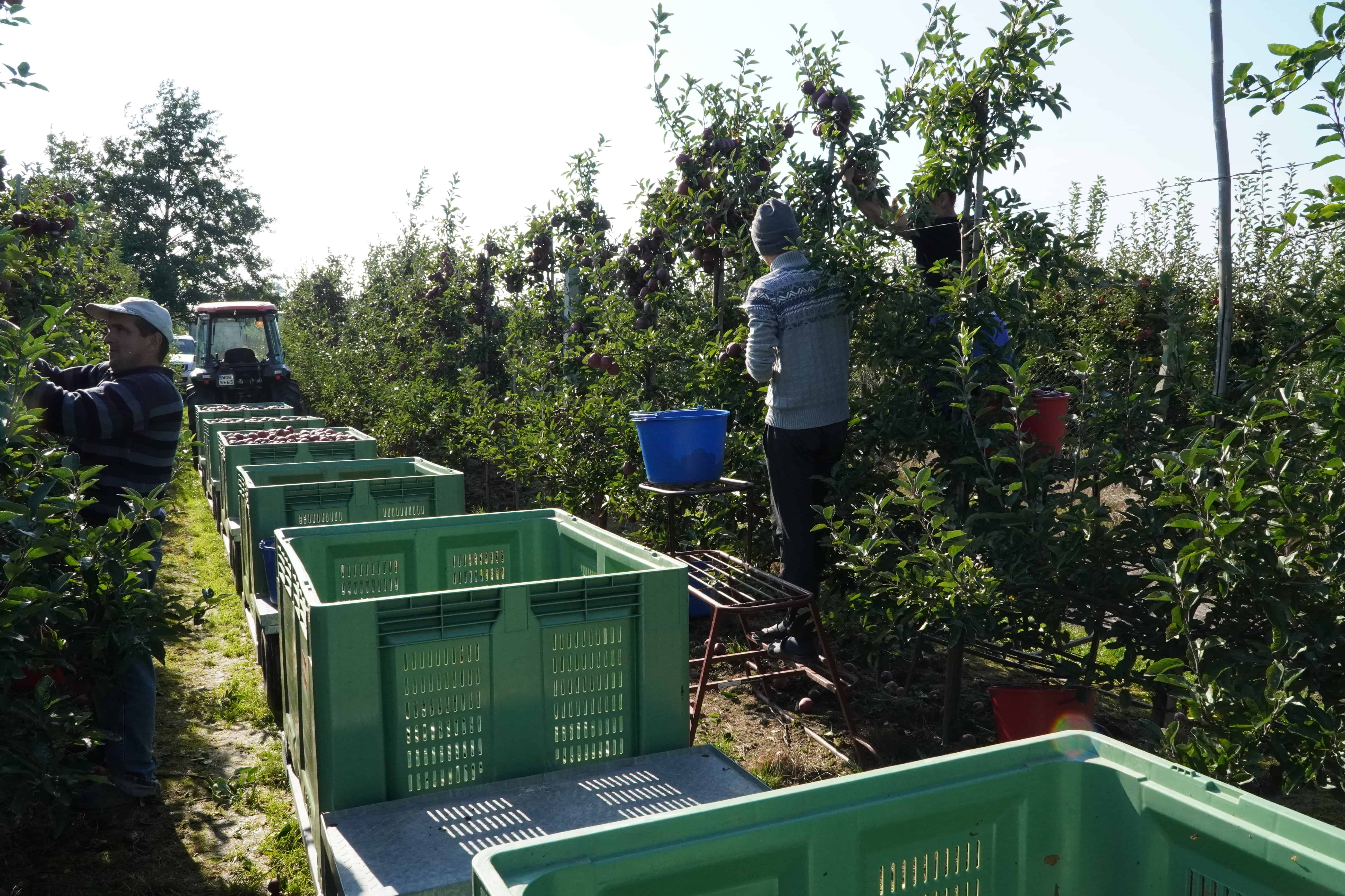 KRIR wnioskuje o podzielność składki zdrowotnej za pomocnika rolnika