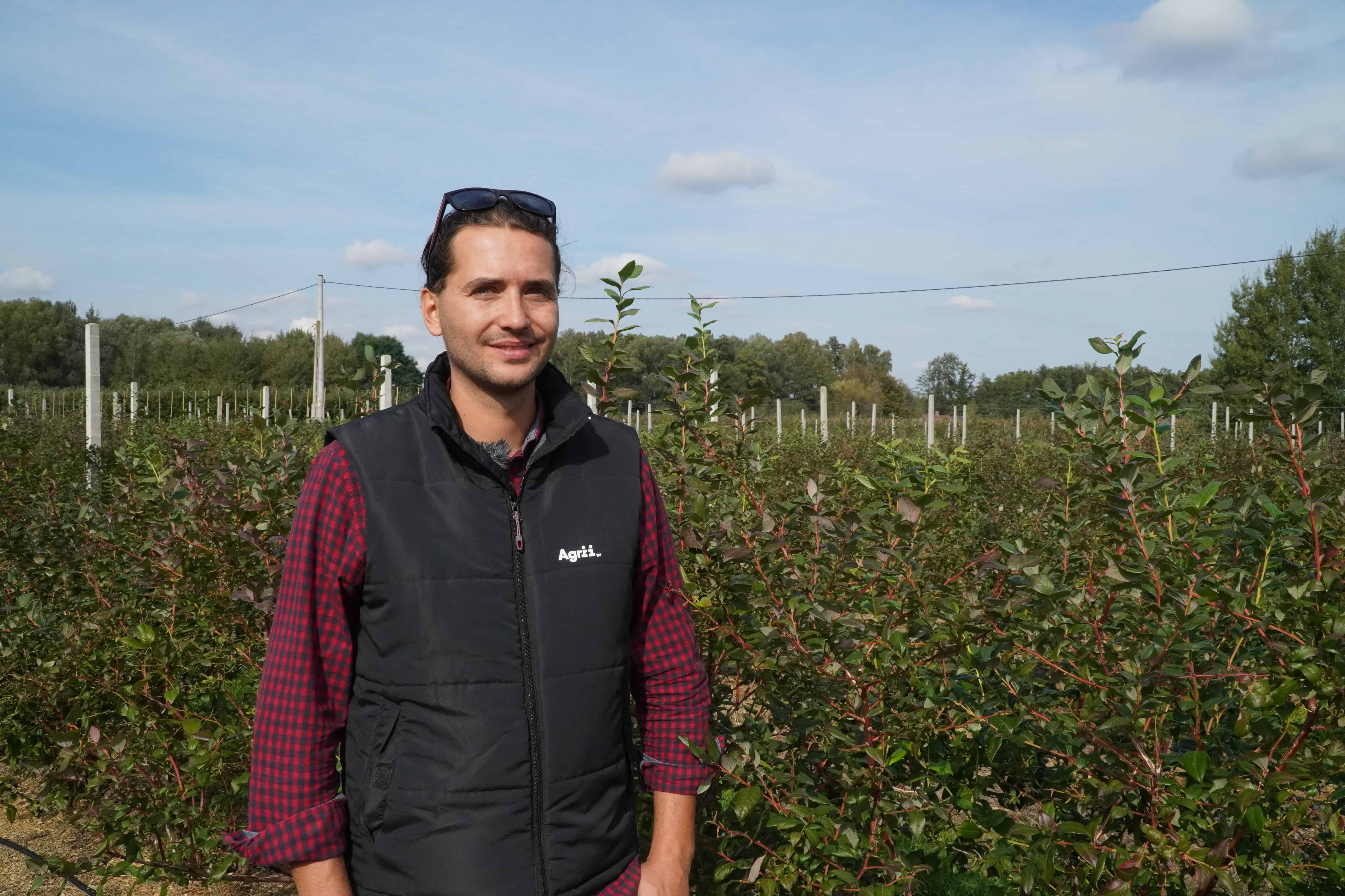 Aktualna sytuacja na plantacji borówki – 08.10.2020, Michał Malicki