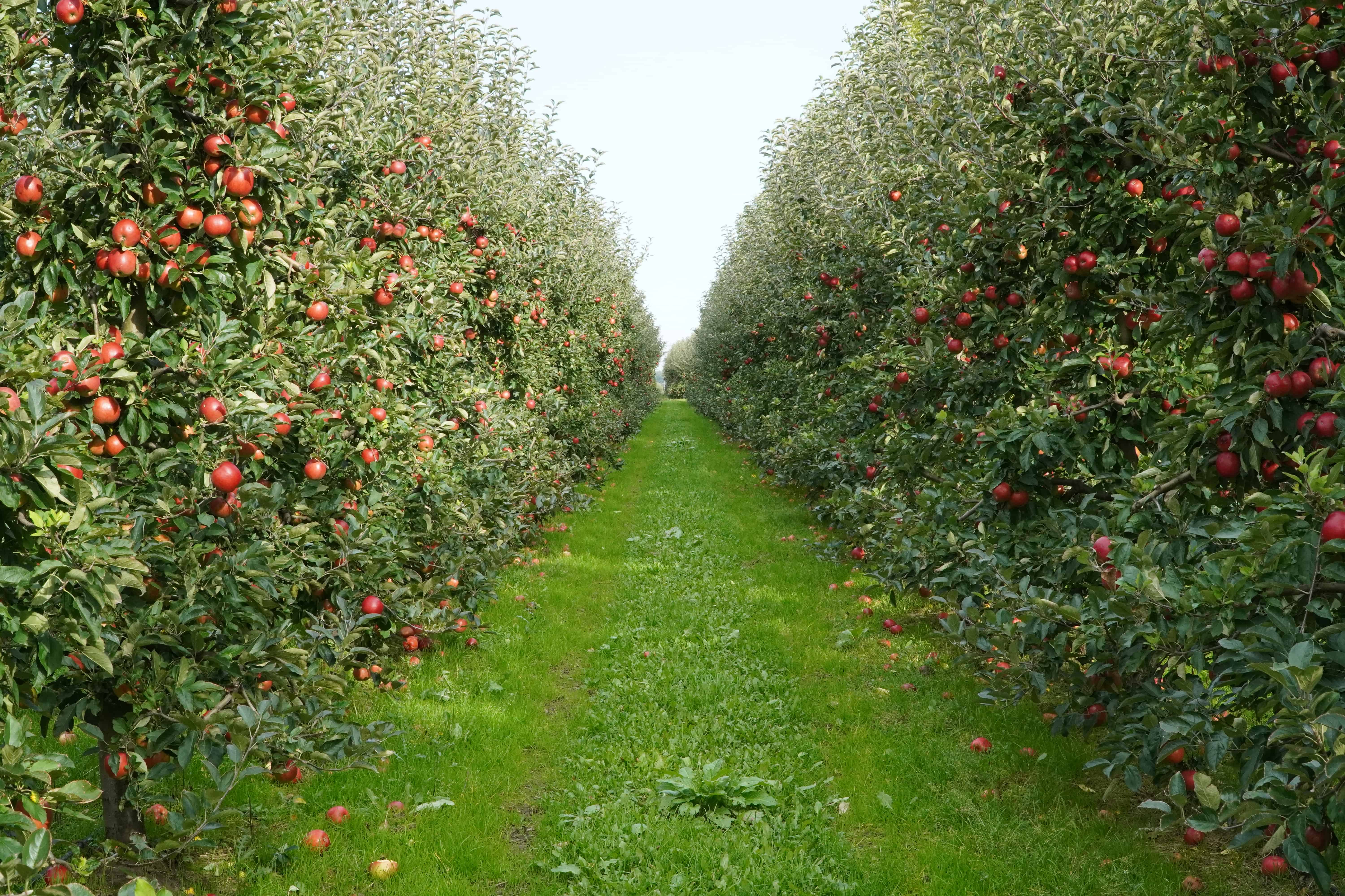 Prognoza pogody na weekend