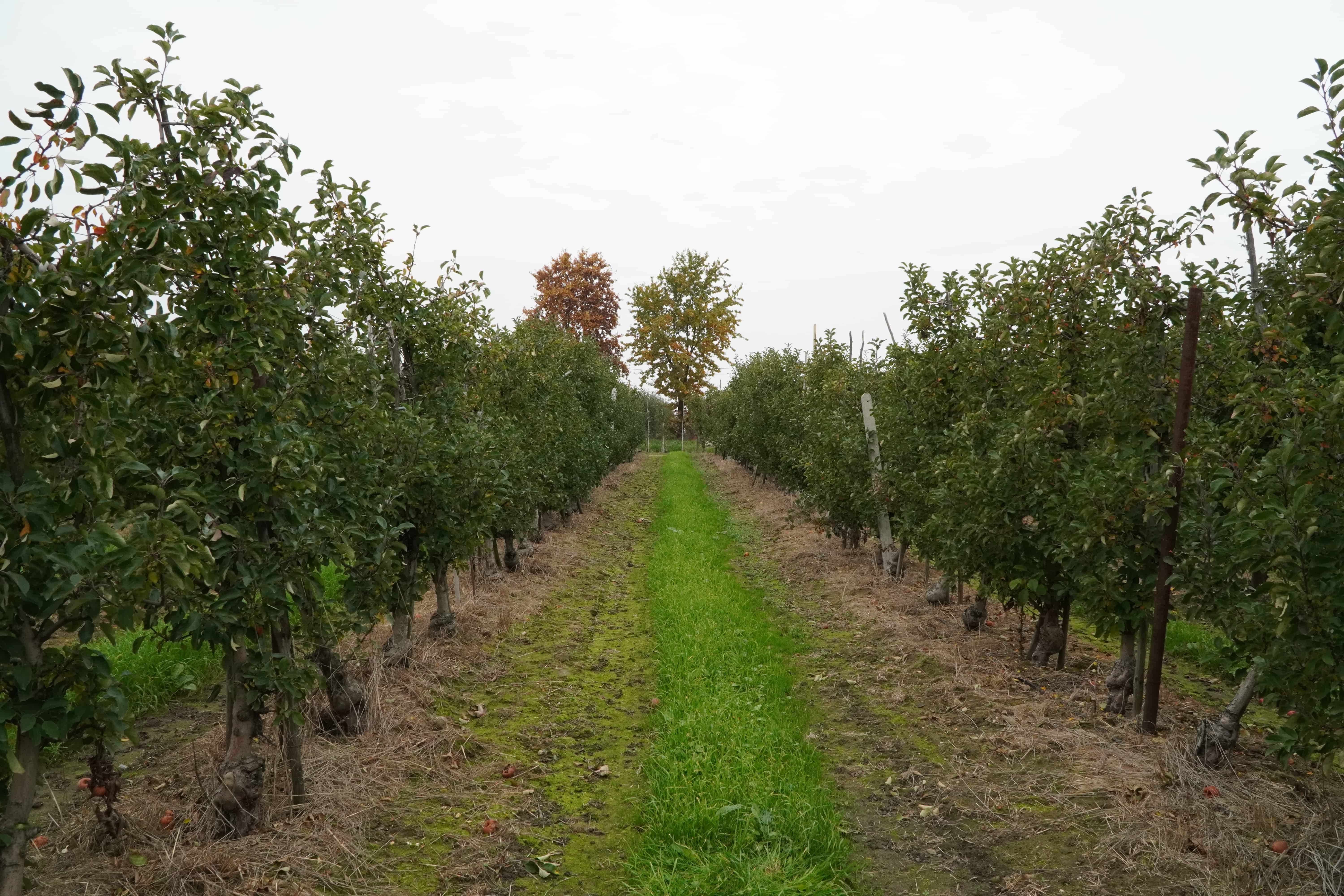 Prognoza pogody na najbliższy tydzień