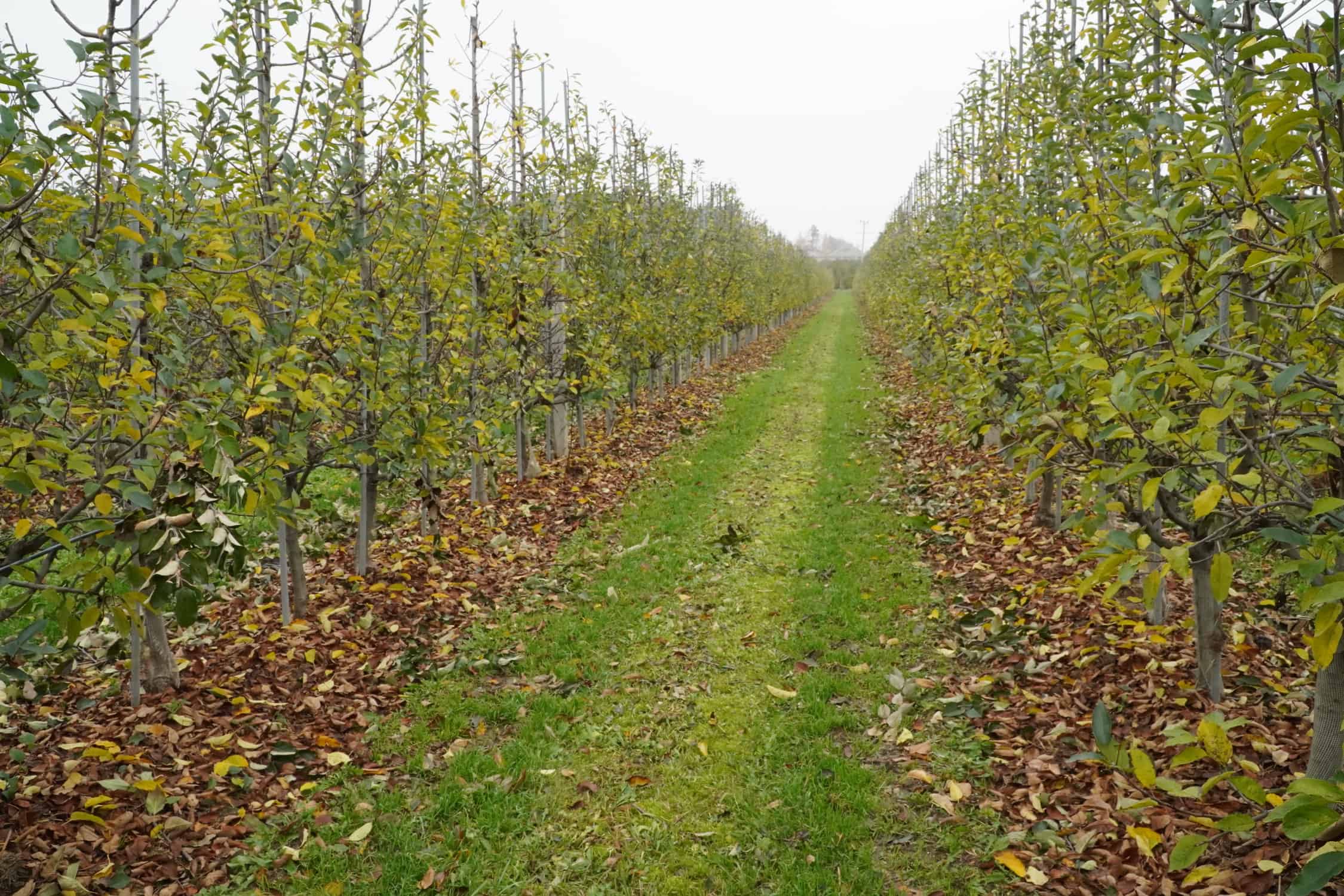 Ciepły początek tygodnia. A później?