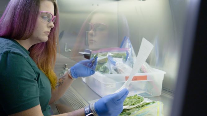 Innowacje kluczem do bardziej zrównoważonego rolnictwa. Corteva Agriscience w debacie na temat Zielonego Ładu 
