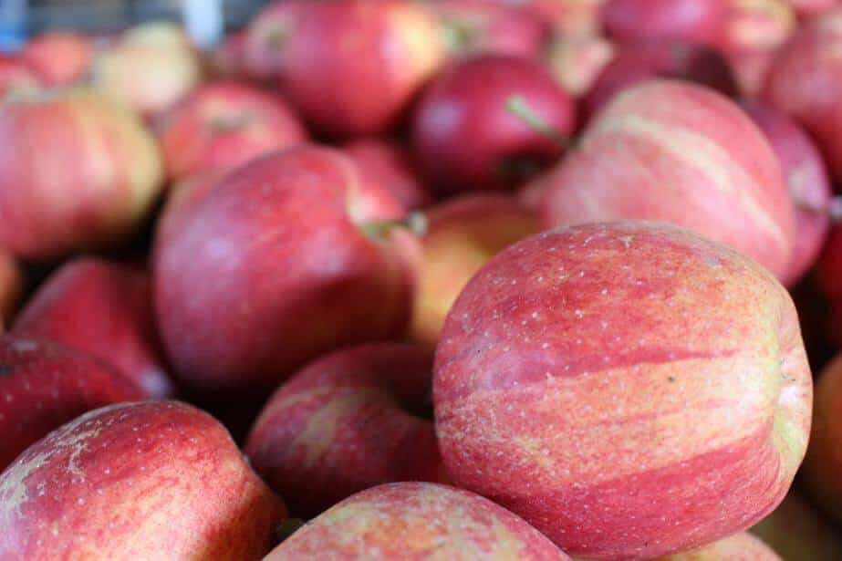 Cena Gali Royal przekroczyła 2,00 zł/kg