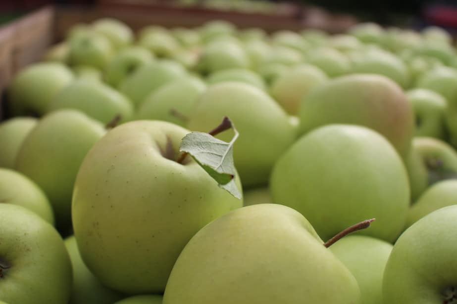 Pierwsze partie Golden Delicious na wschodnich rynkach