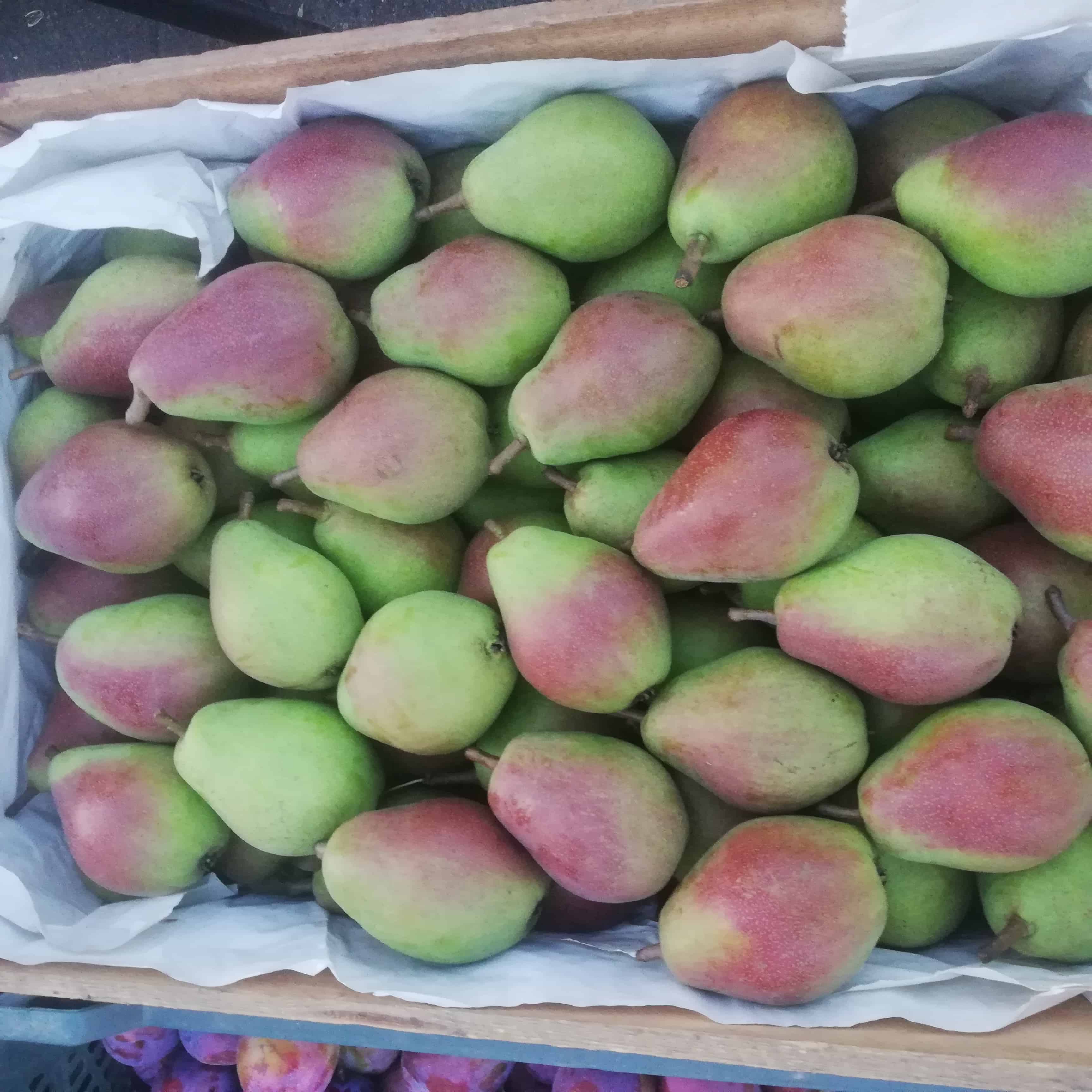 Ceny owoców na rynku hurtowym w Broniszach [20.08.2020]