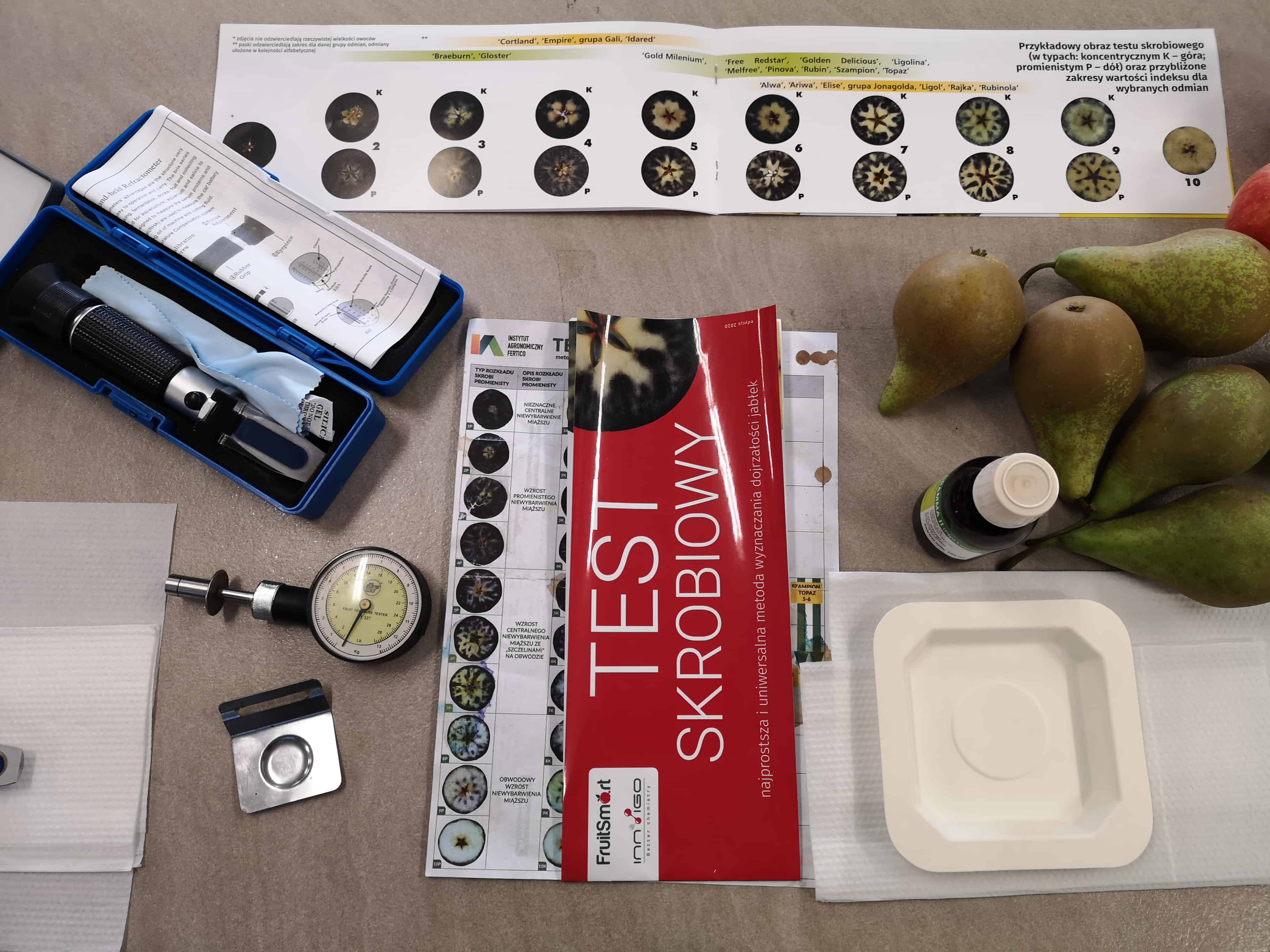 Jak właściwie określić termin zbioru? Zbigniew Marek