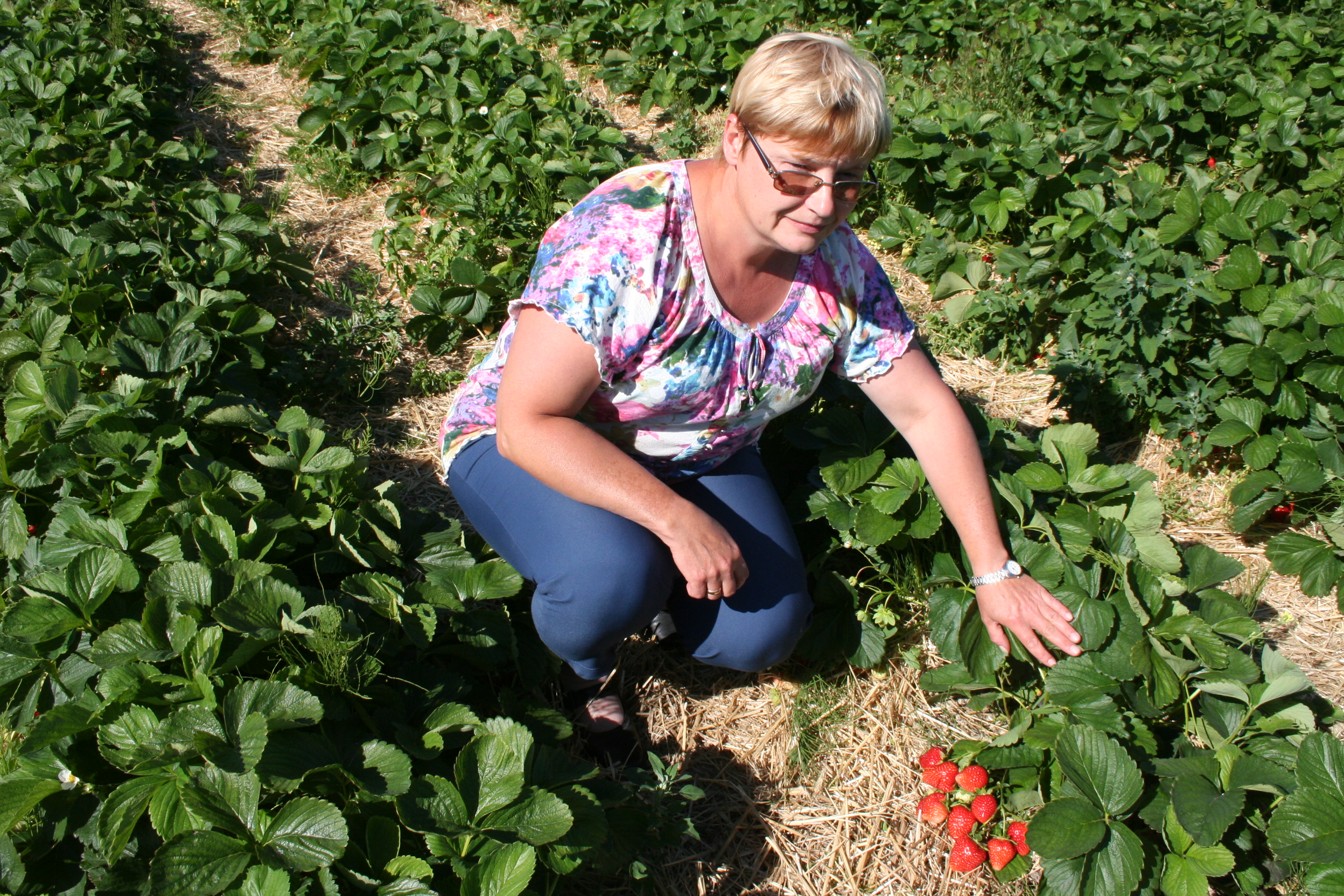 Poprawić jakość, zwiększyć konsumpcję