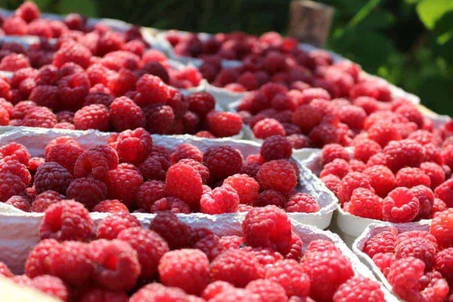 Aktualne ceny na Broniszach [23.07.2020]