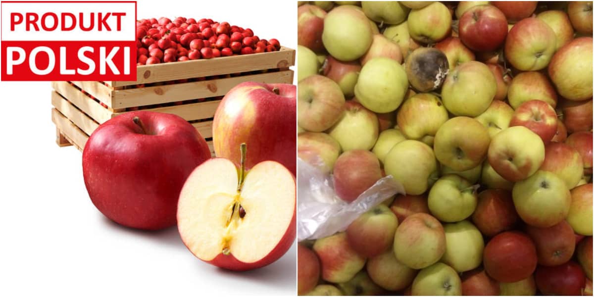 Zniechęcanie konsumentów do jedzenia polskich jabłek trwa w najlepsze