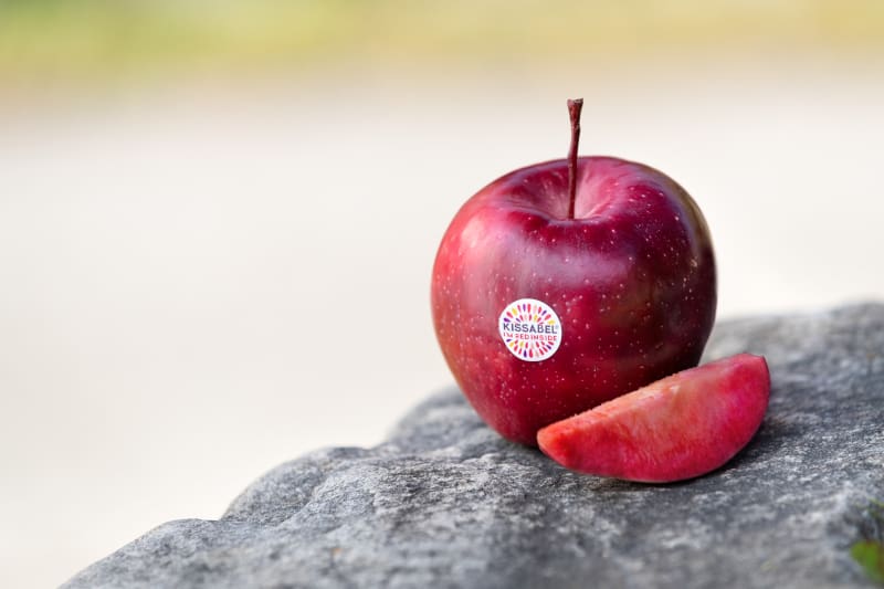 KissabeI® Rouge: Jabłko o wyjątkowym smaku i kolorze