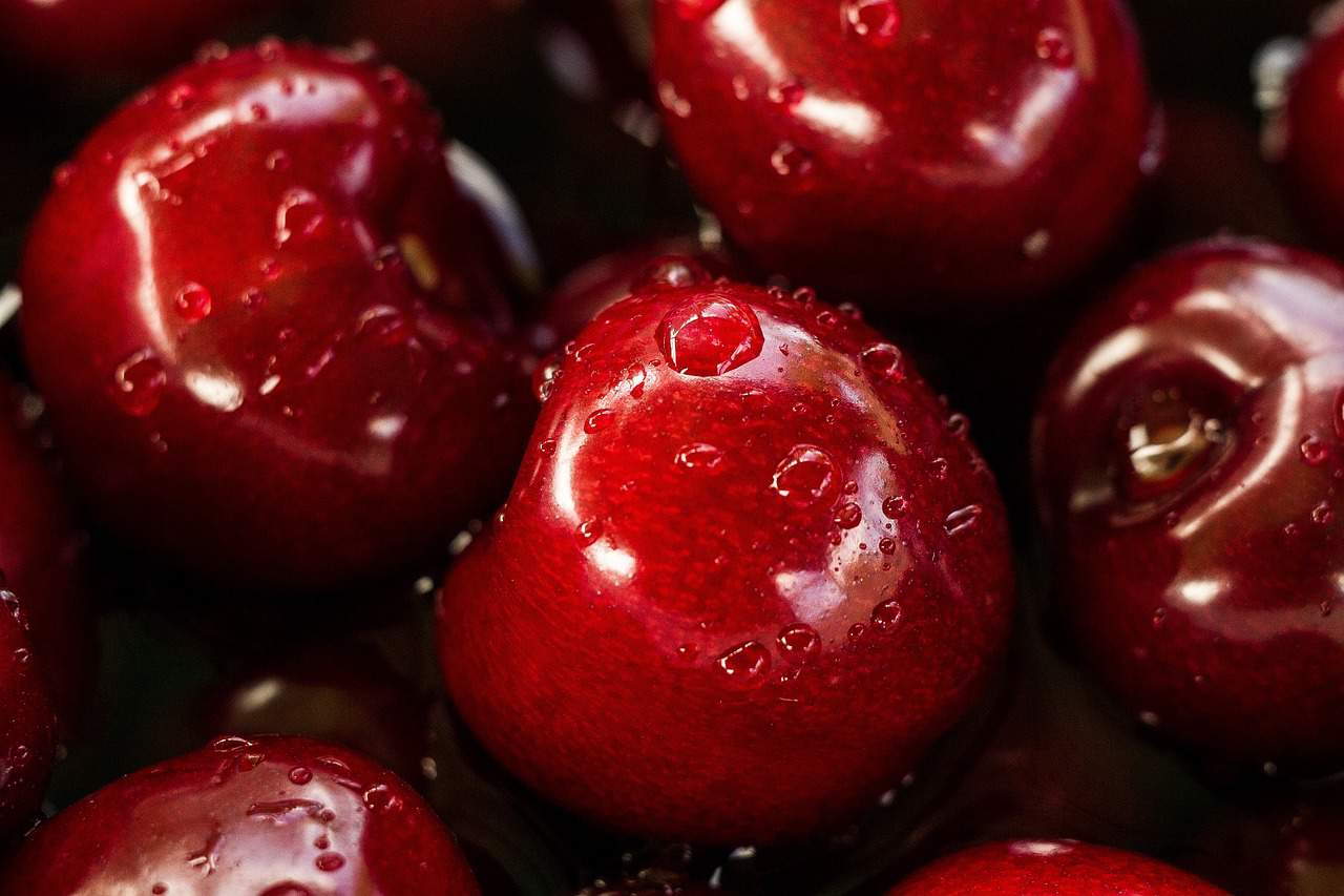 Powłoka organiczna – alternatywa dla wosku 