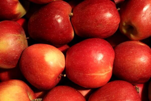 Jabłka biją rekordy cenowe