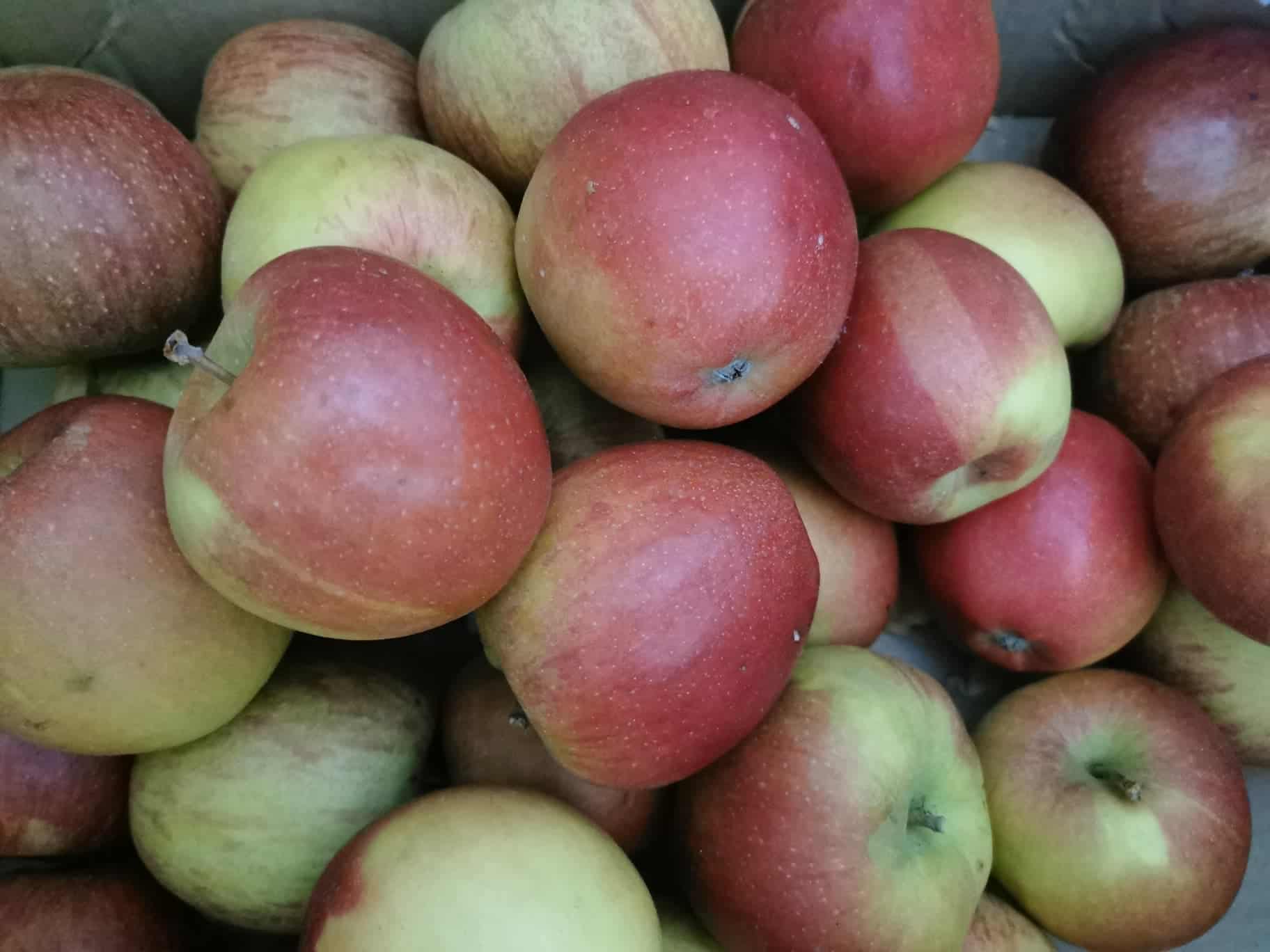 Niemieckich sadowników cieszą stabilne ceny jabłek 