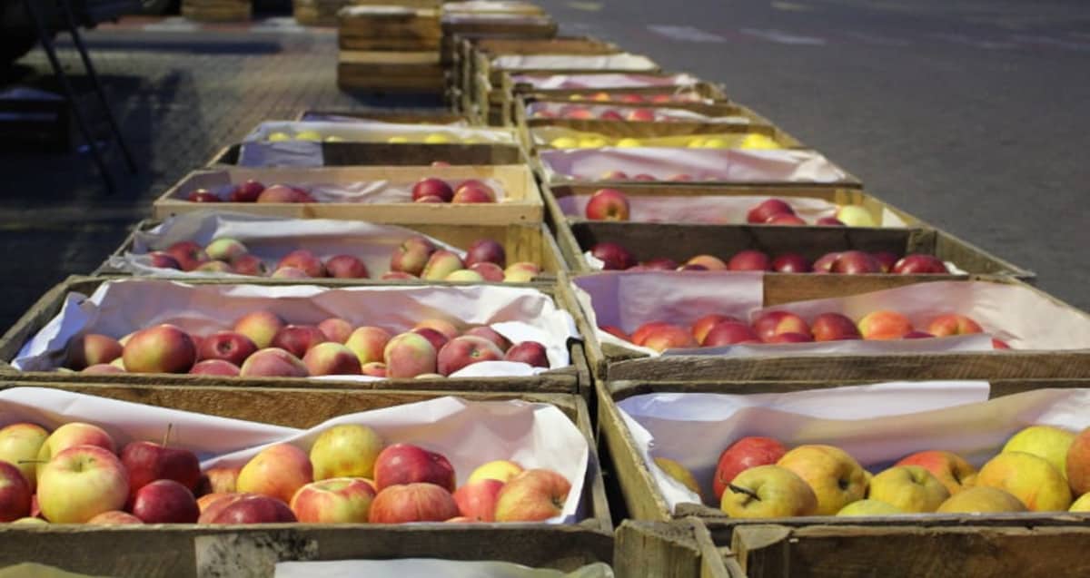 Aktualna sytuacja na Broniszach [11.12.2020]