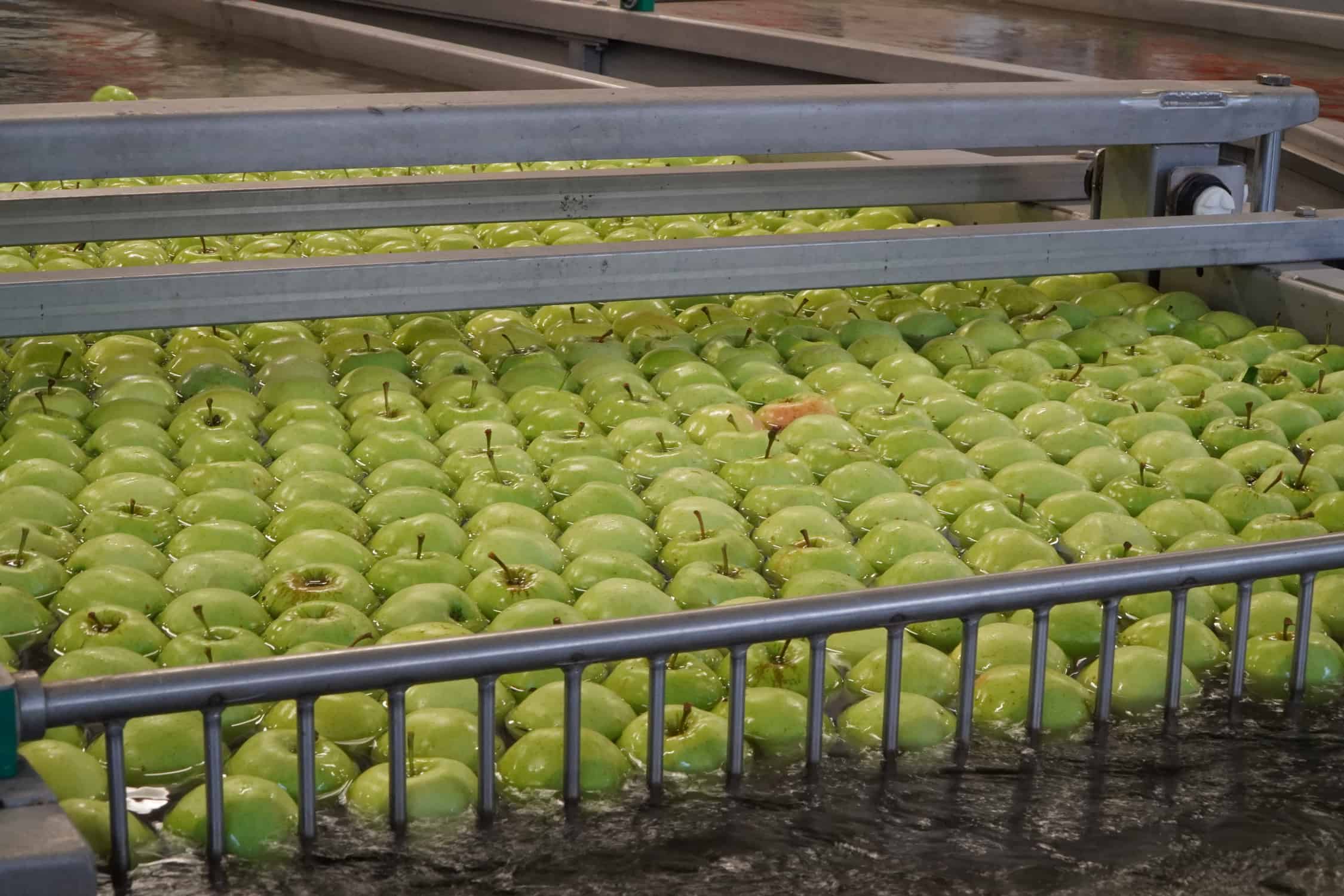 Aktualne ceny jabłek deserowych w grupach producenckich [11.01.2021]