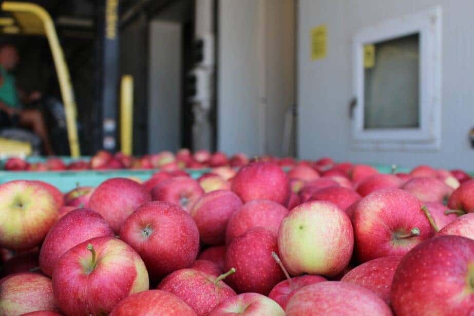 Aktualne ceny jabłek deserowych w grupach producenckich [04.01.2021]