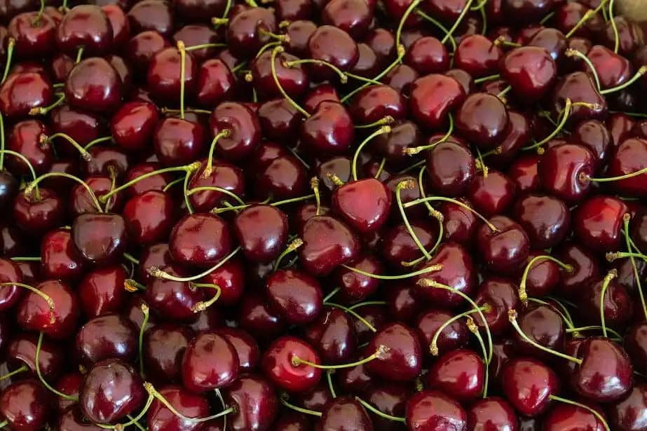 Turcja bije rekordy w eksporcie czereśni do UE