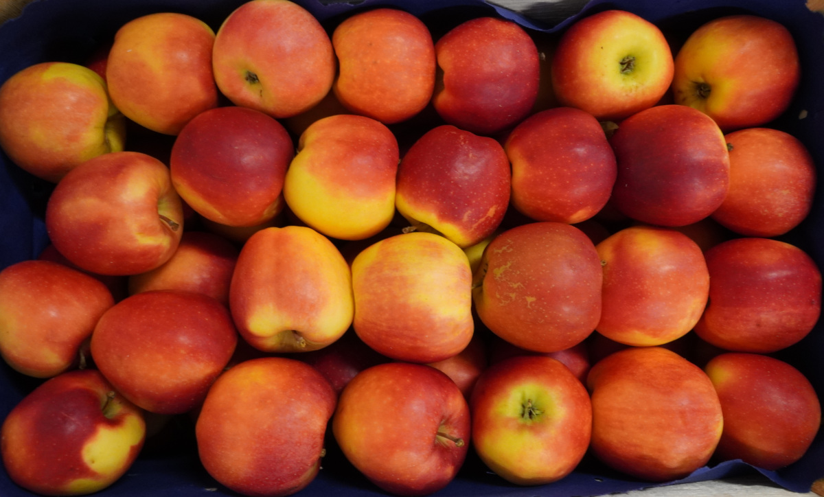 Duży popyt na polskie jabłka na lokalnym rynku