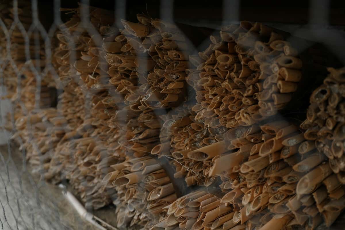 Jak za 30 złotych mieć ekologiczny ogród?