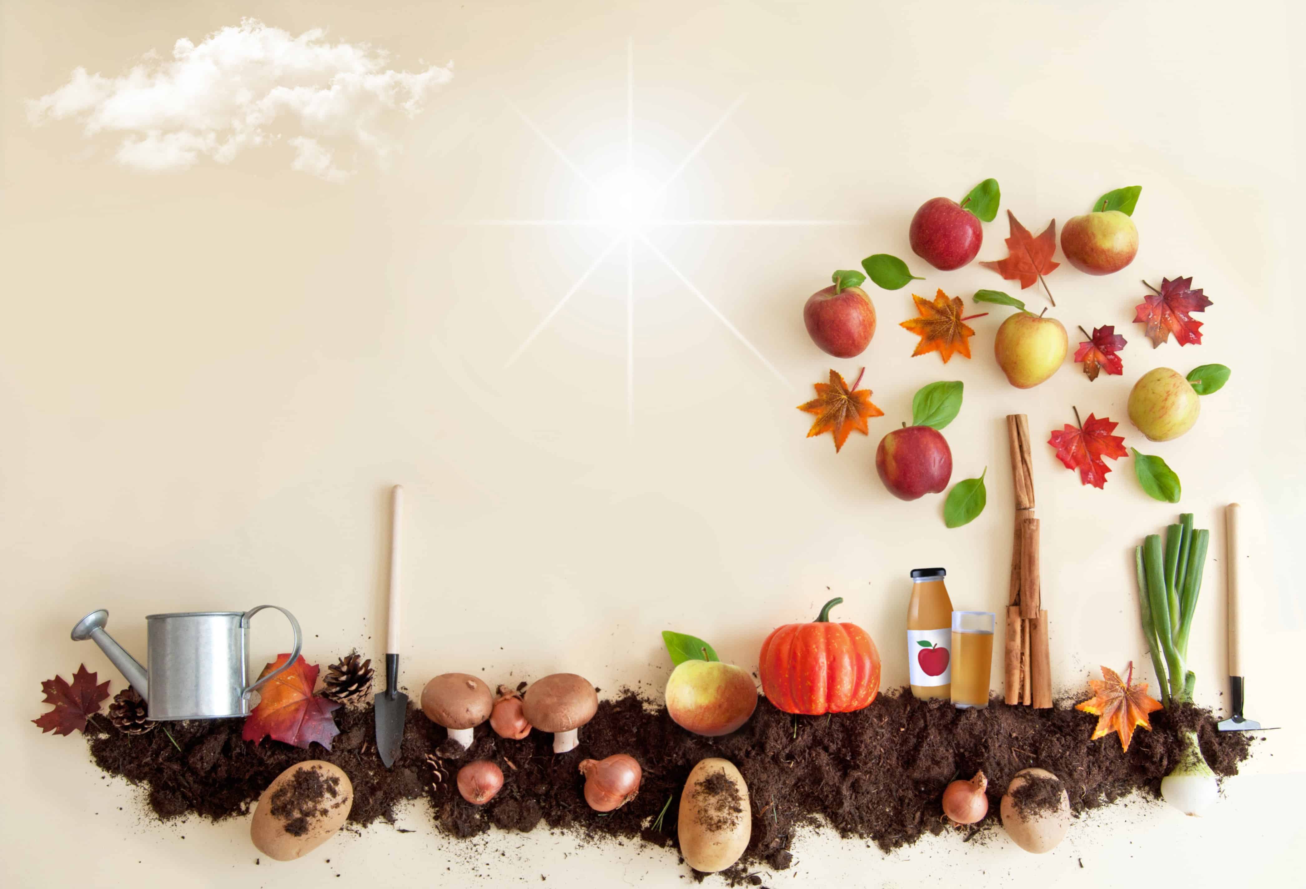 Owoce a dobre samopoczucie