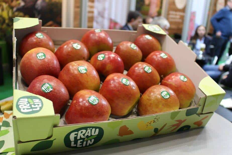 Fräulein – nowa niemiecka odmiana debiutuje na rynku 