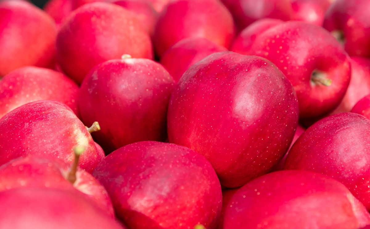 Jak zapobiec nieuzasadnionej obniżce cen jabłek?