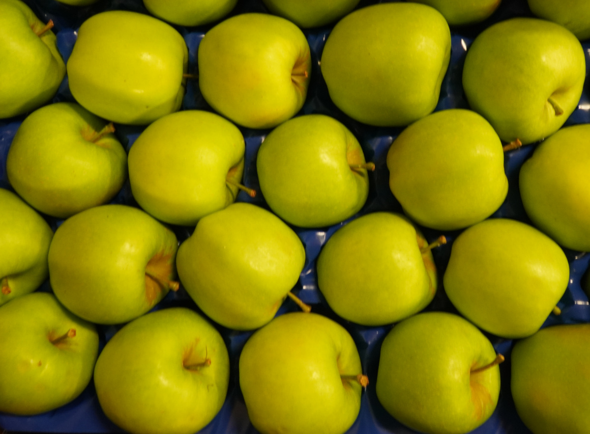 Sprzedaż jabłek utrzymuje się na bardzo dobrym poziomie