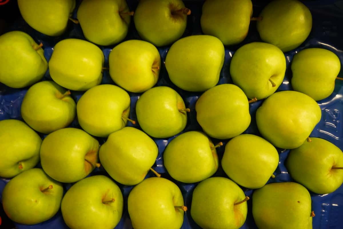 Aktualne ceny jabłek deserowych w grupach producenckich [01.12.20]