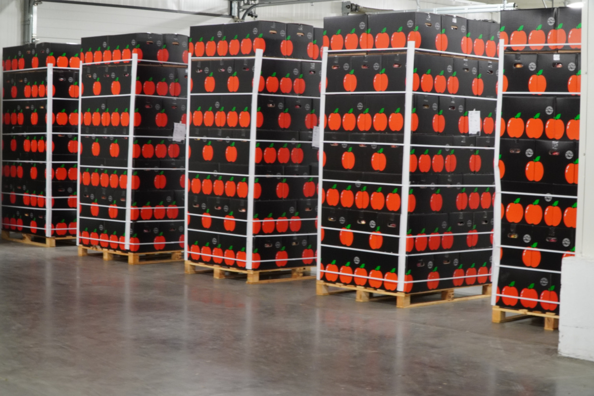 Opinia Copa-Cogeca w stosunku do nowej polityki handlowej Unii Europejskiej