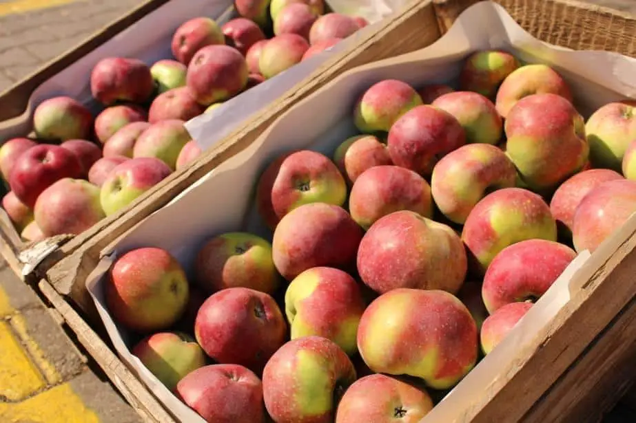 Ceny jabłek na rynku hurtowym w Broniszach