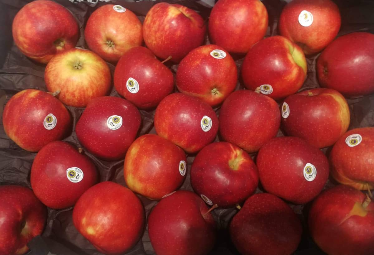 Unijne oznaczenia produktów rolnych i spożywczych. Zmiany są niezbędne