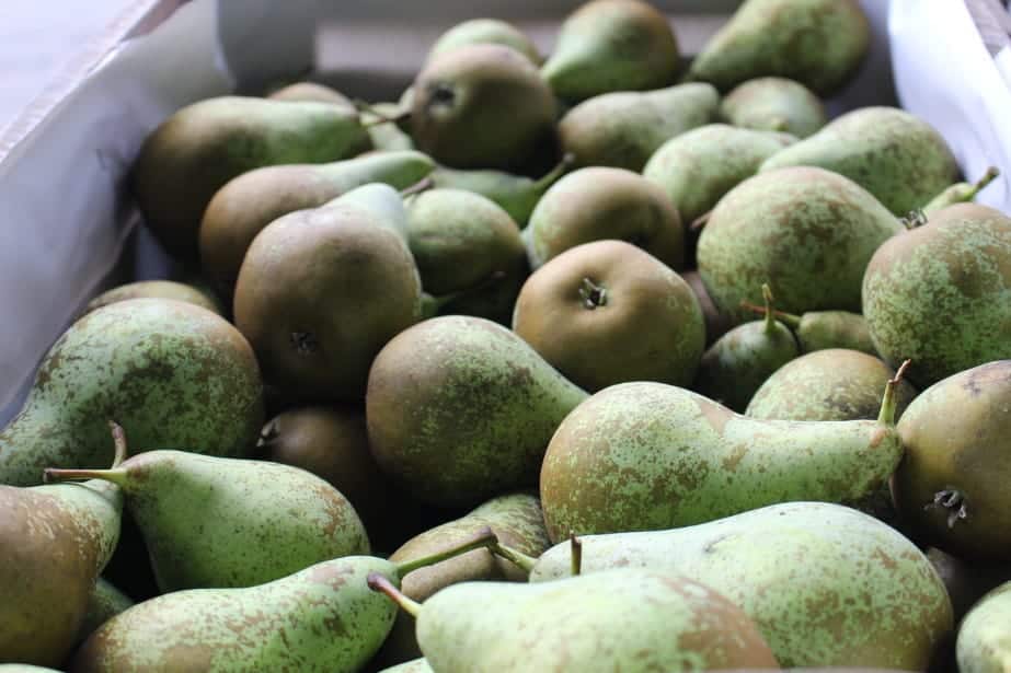 Konferencja – rekordowe zapasy i powolny handel 